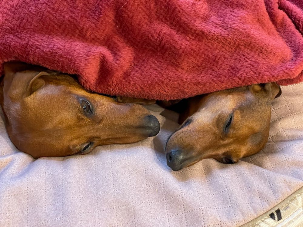 LIFE (October 12th, 1959)