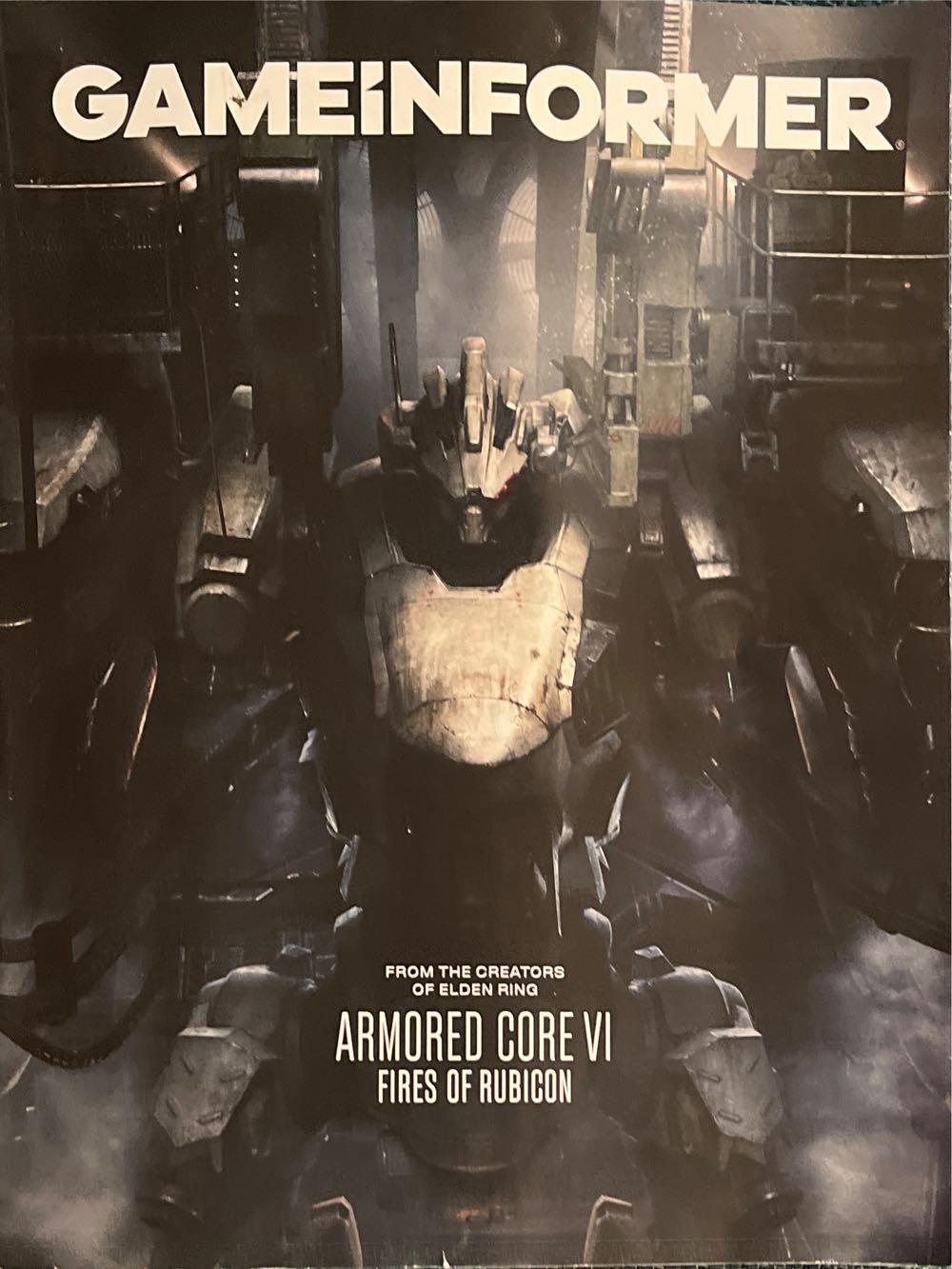 Sapo Amarelo Em Portuguese Do Brasil