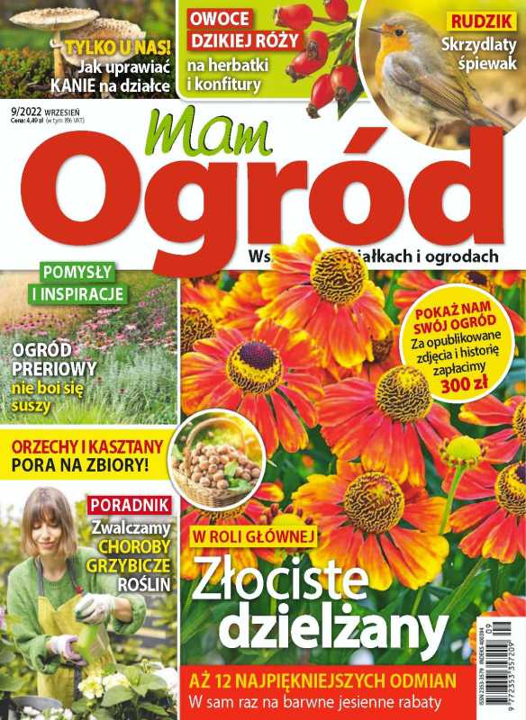 Savage Sword Of Conan The Barbarian