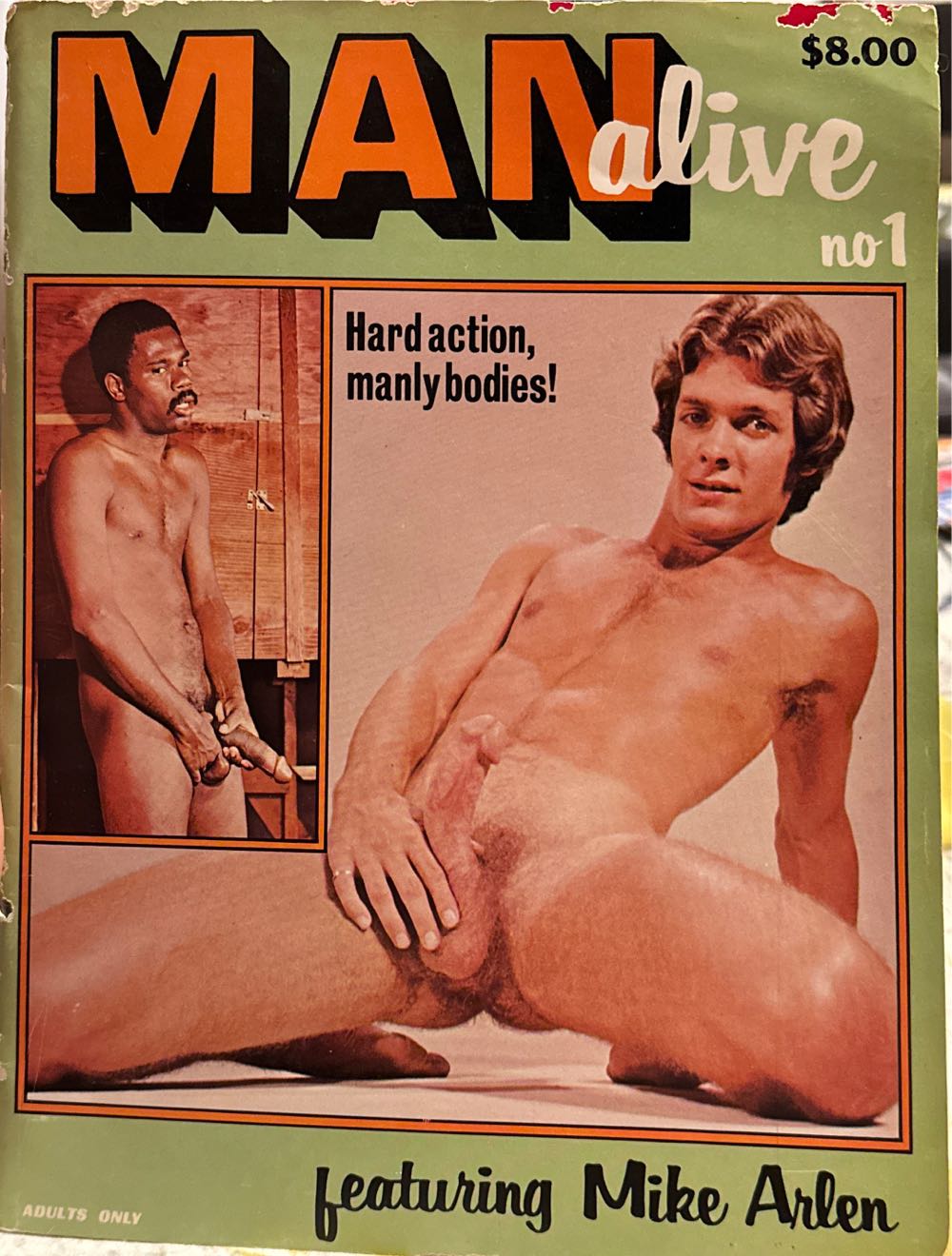 White’s Guide Collecting Figures