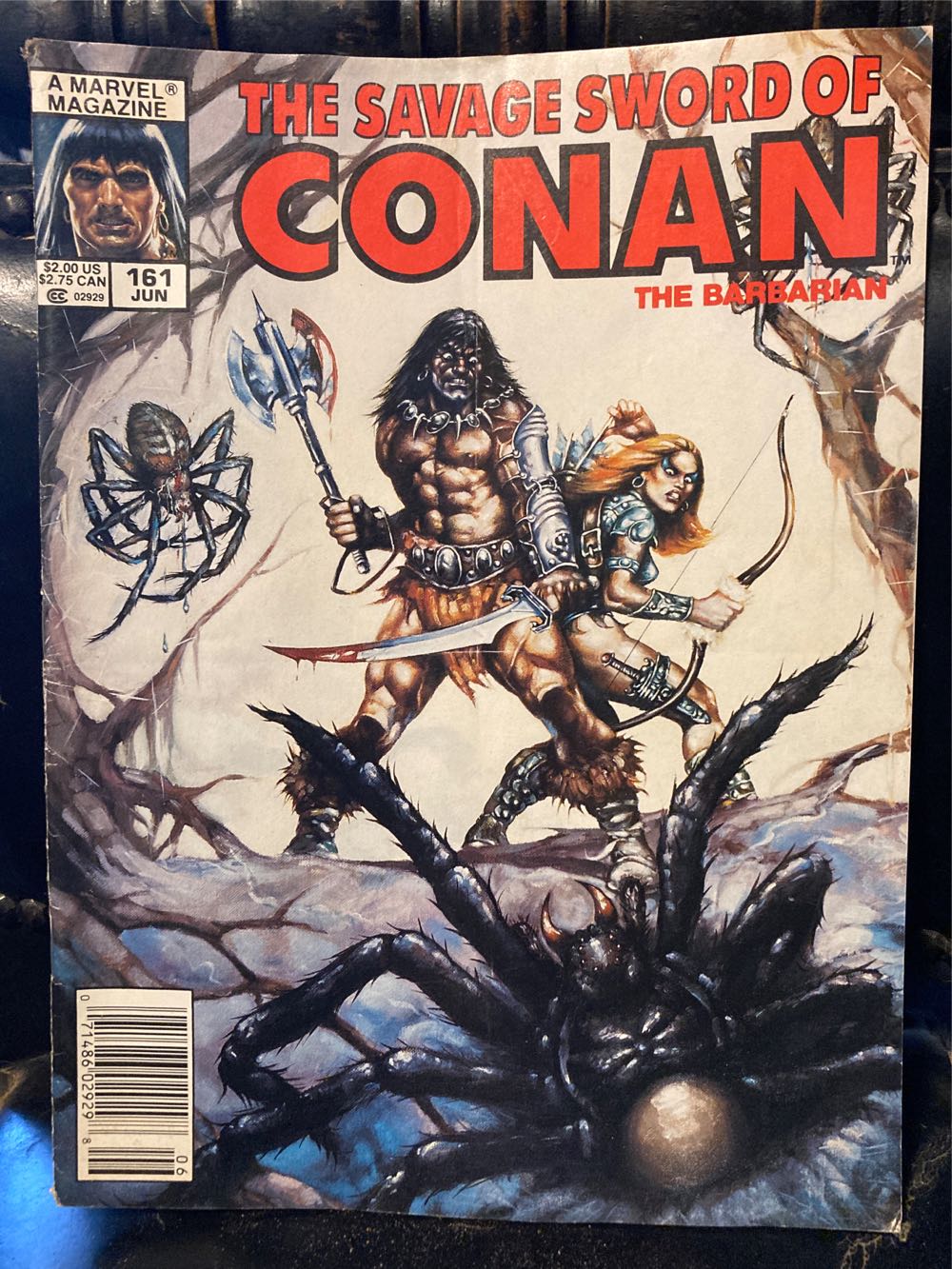 The Savage Sword Of Conan