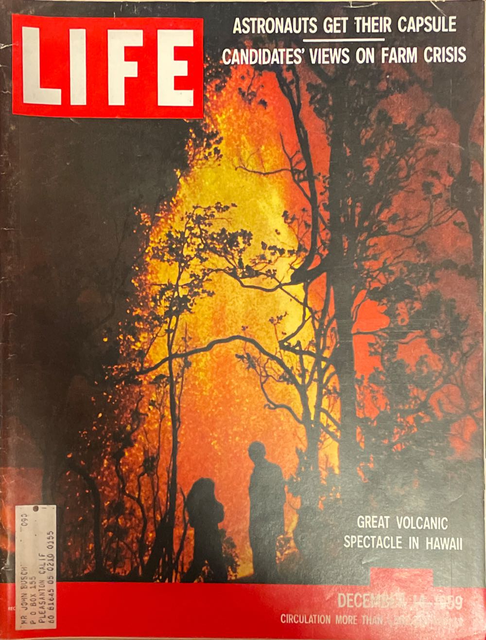 Celebrity Sleuth Tele Visions 6