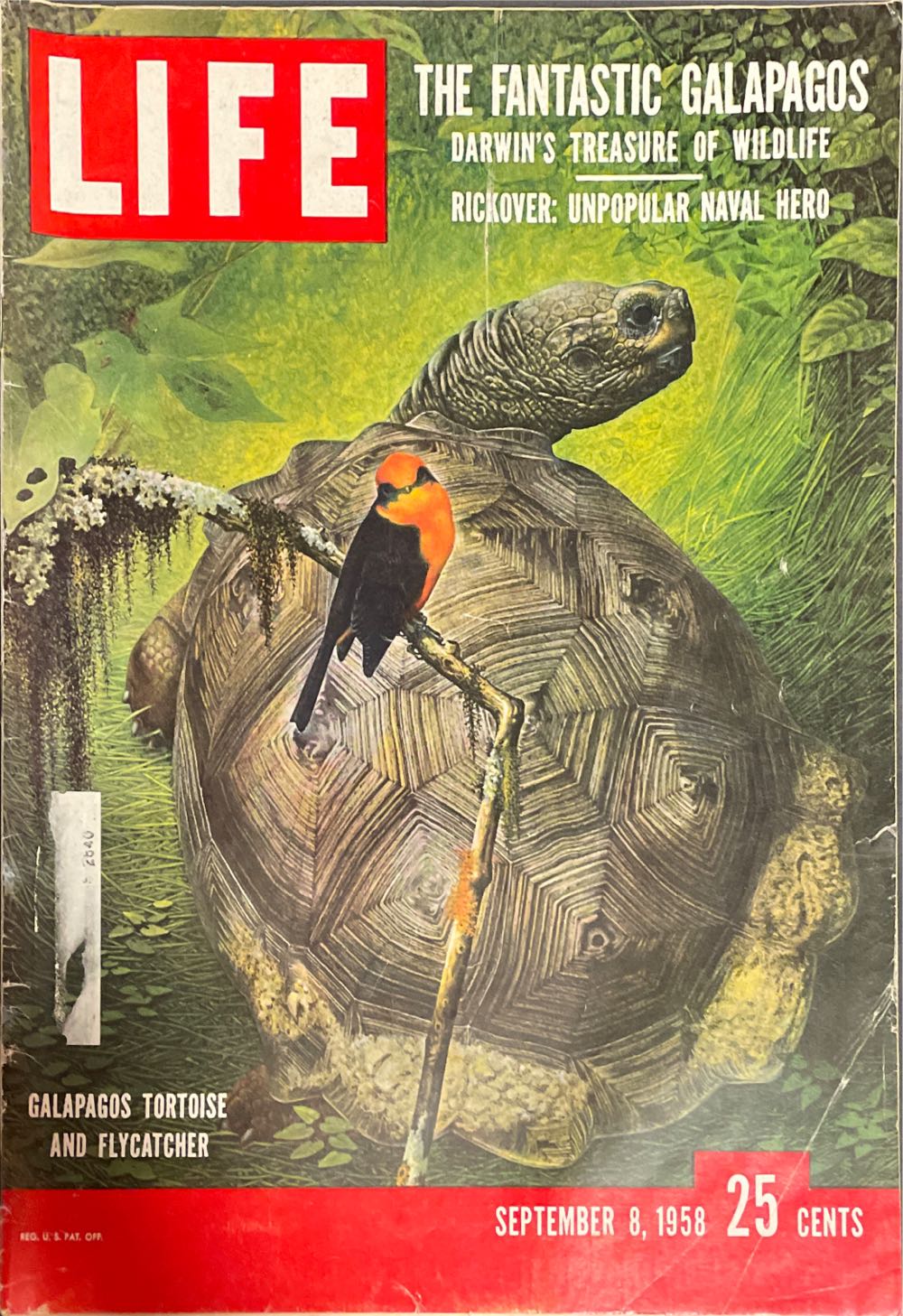 The King Of Pop: Michael Jackson Collectors Photo Gallery 2009