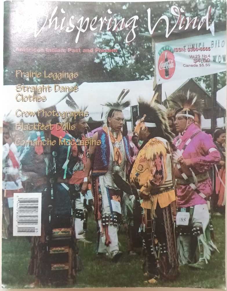 De Kiekeboes 108 De DT-Fout