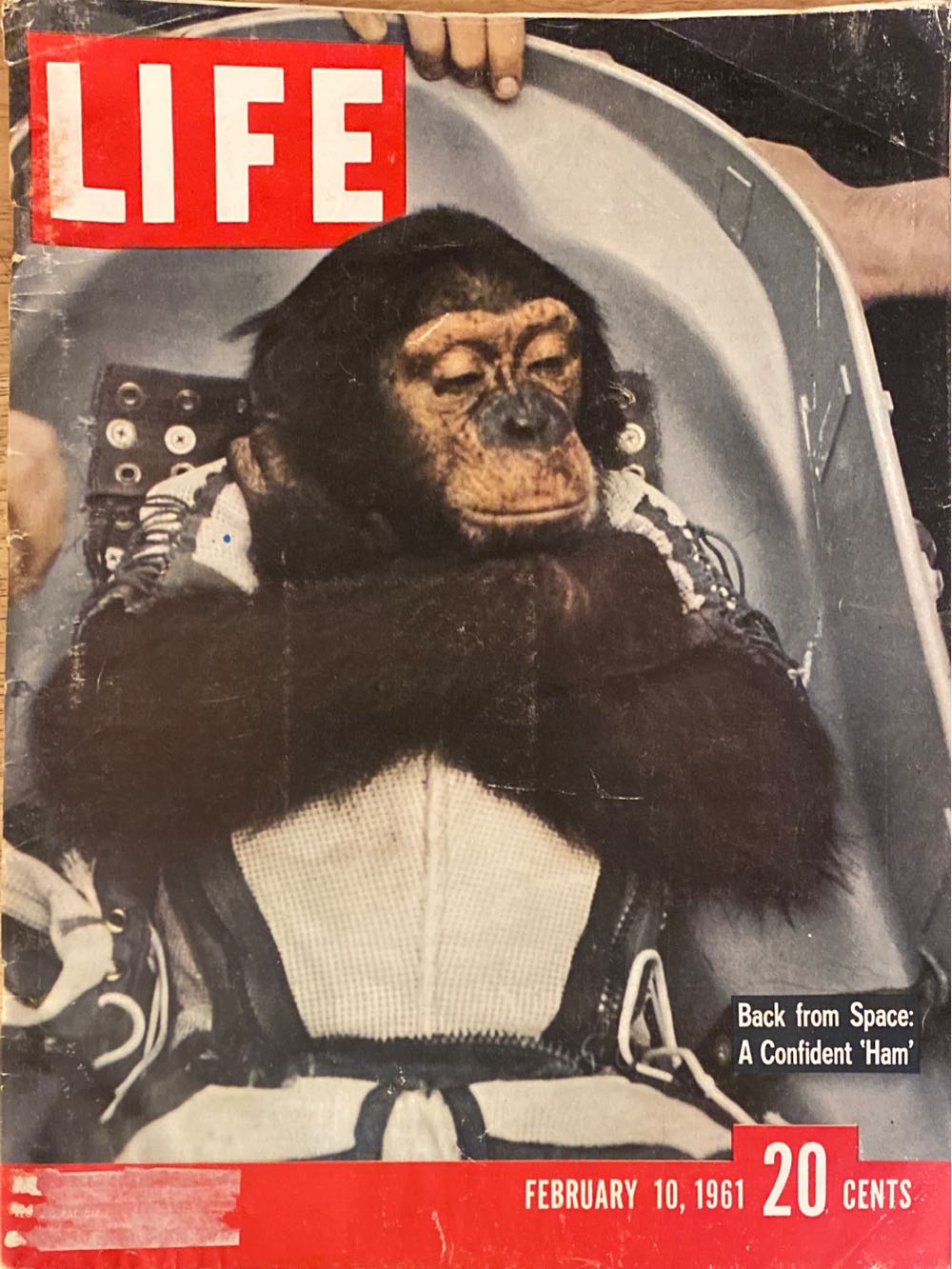 TV Guide 10th Anniversary Squidward Cover