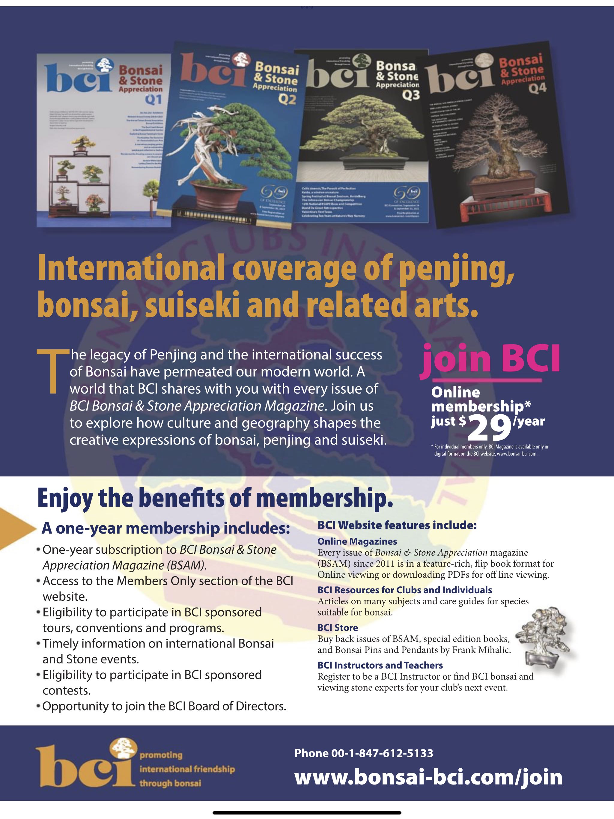 BCI Bonsai & Stone Appreciation Magazine  2023 August  (August) magazine collectible - Main Image 2