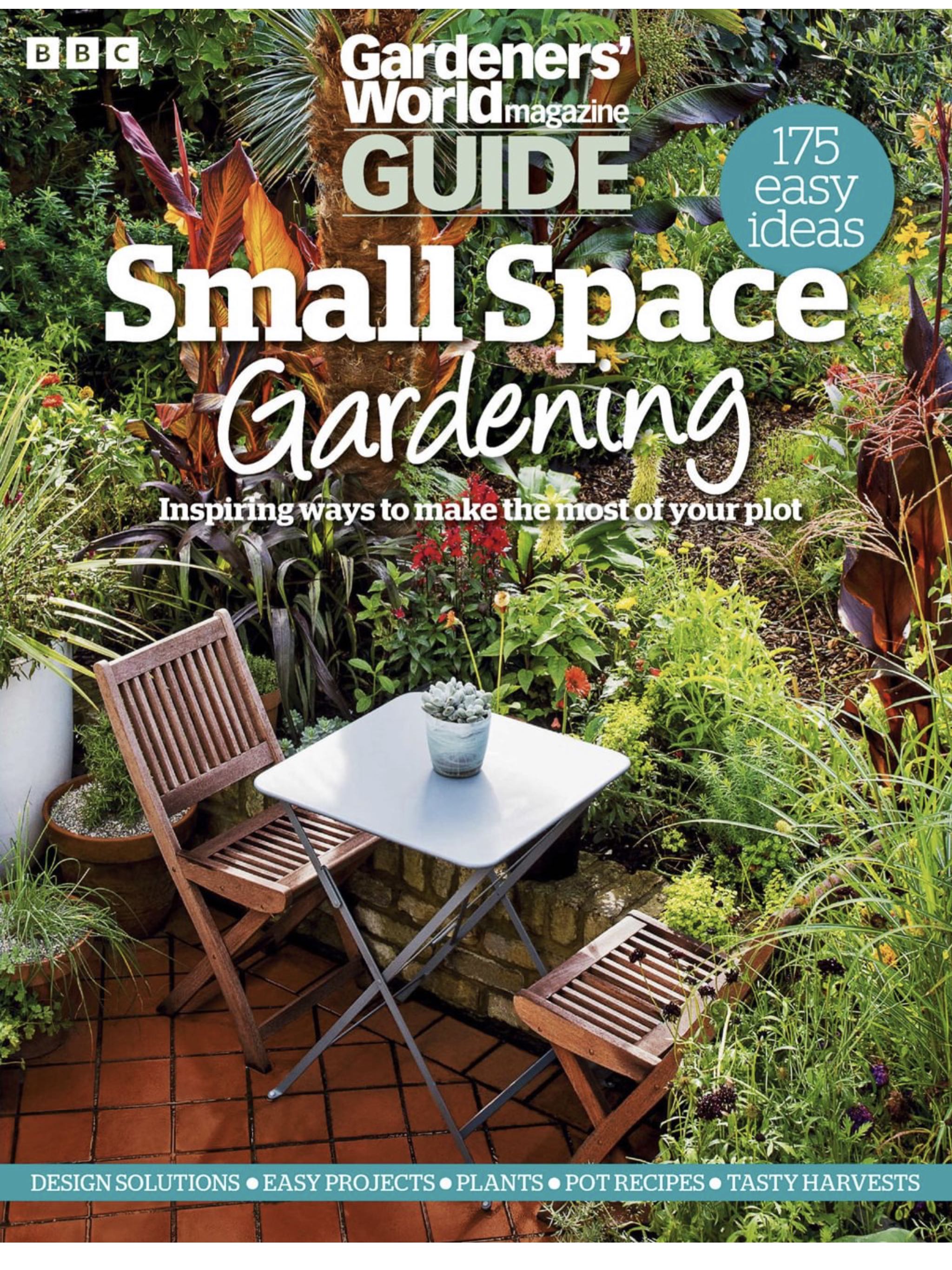 Hall Of Fame Baseball Cards