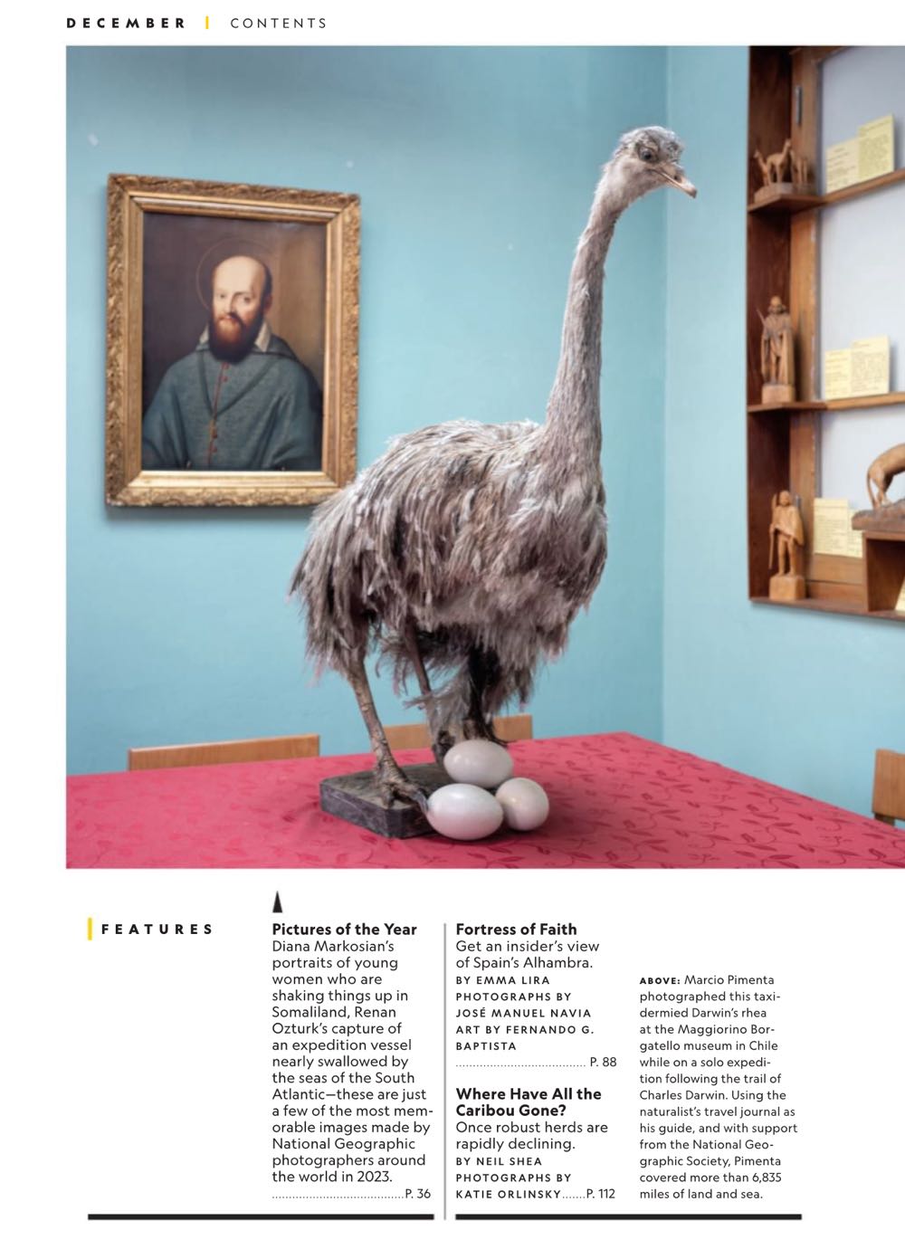 National Geographic  (December) magazine collectible - Main Image 3