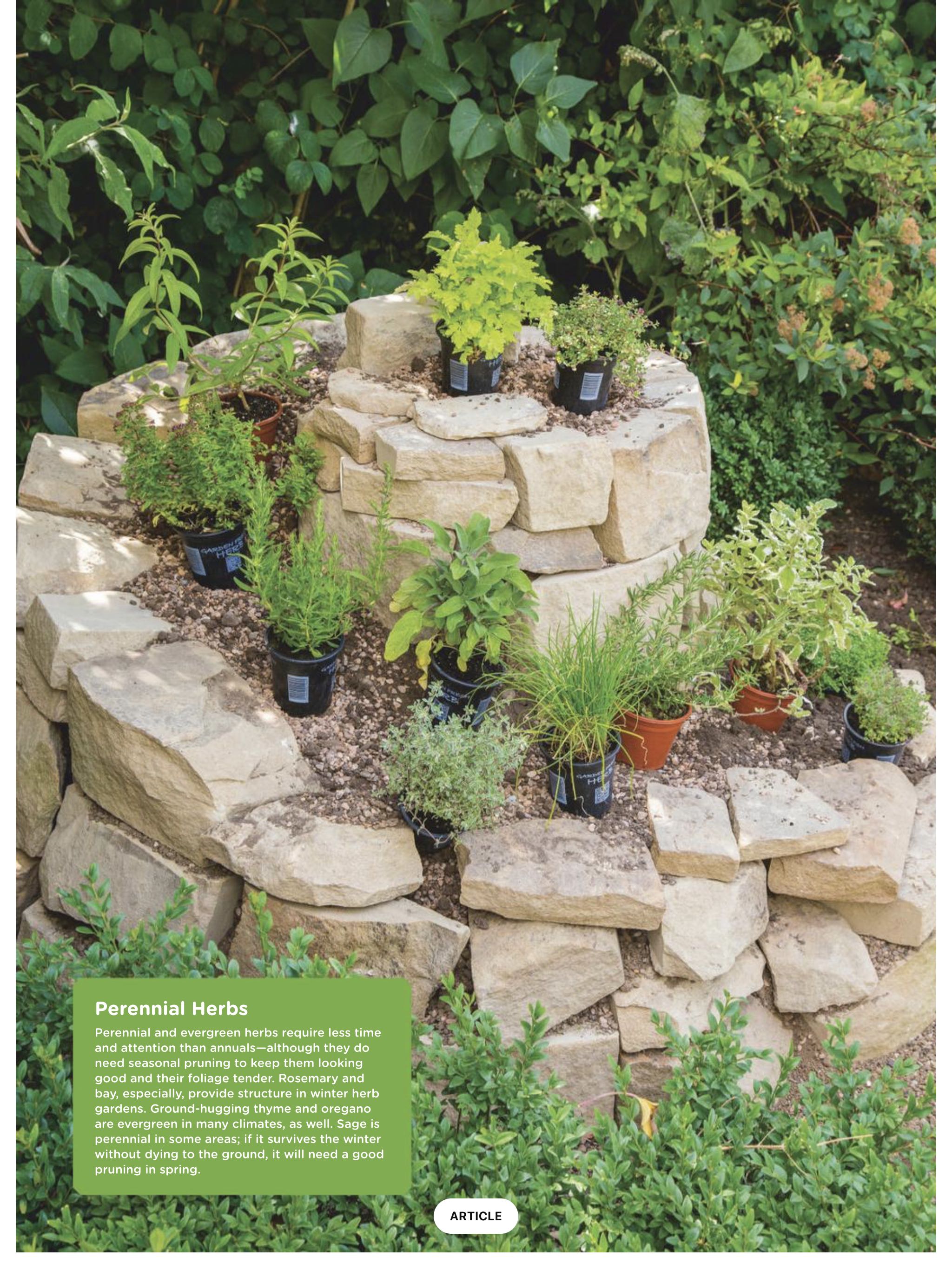 All-New Low-Carb Lifestyle