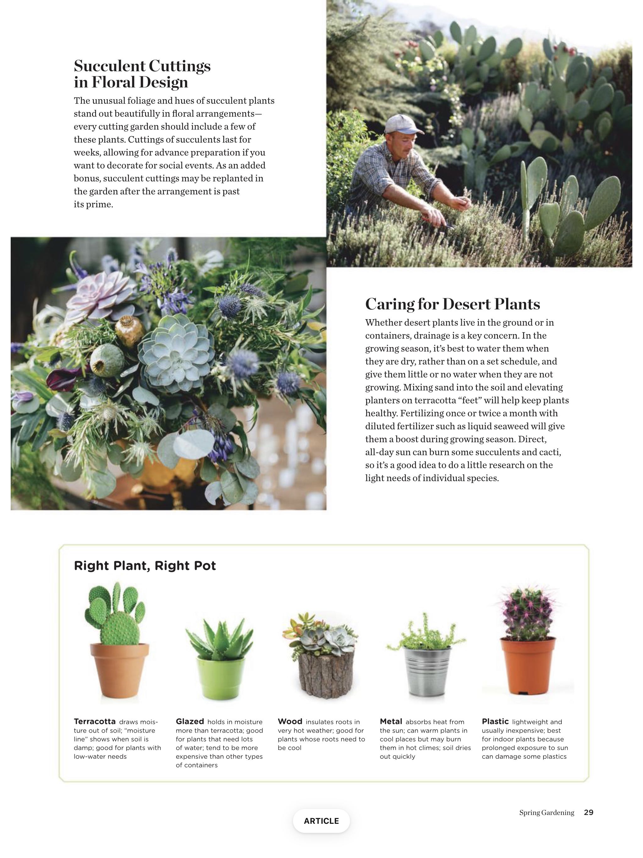 Spring Gardening  2023 February  (February) magazine collectible - Main Image 2