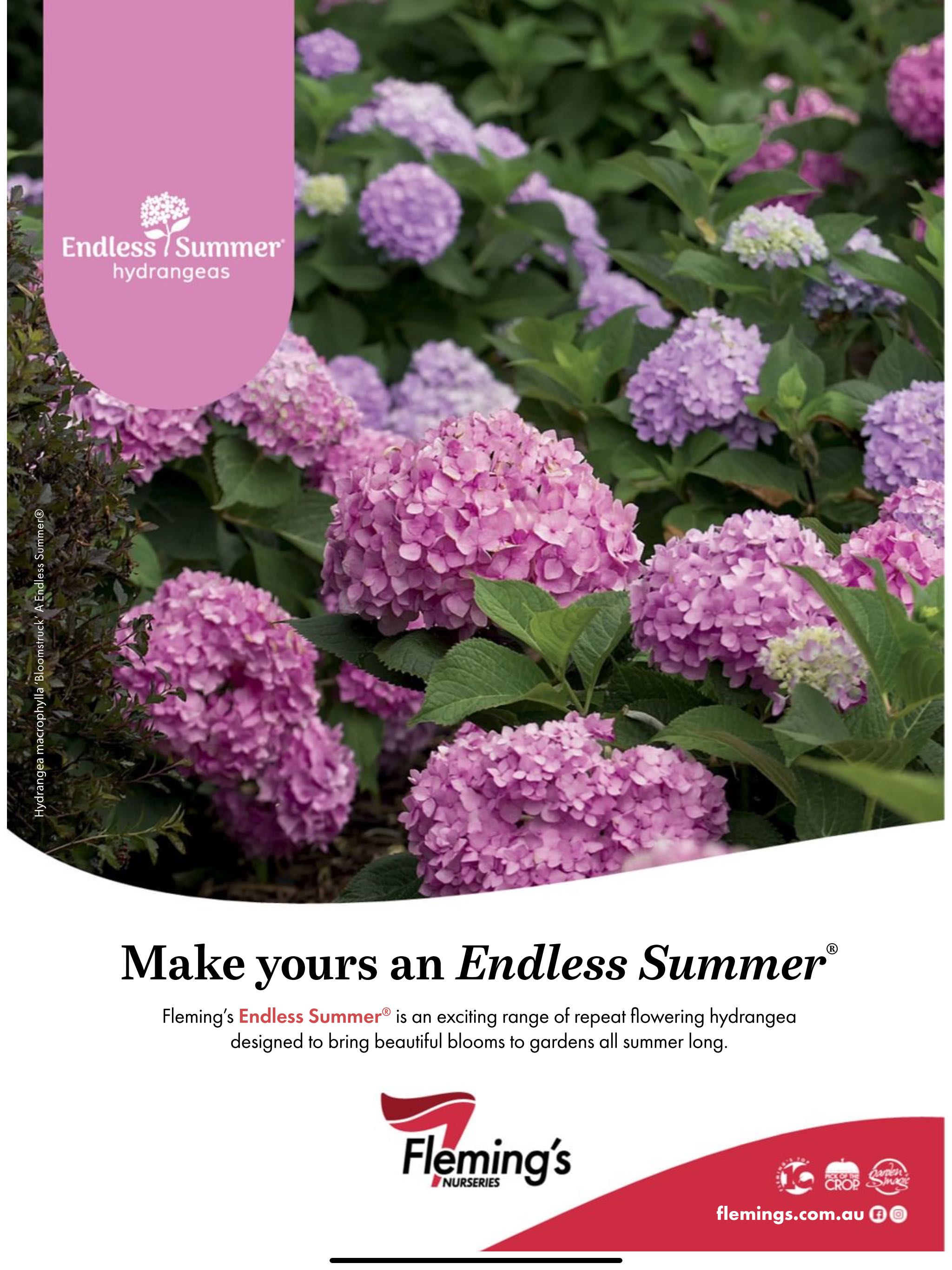 Gardening Australia  2024 January  (January) magazine collectible - Main Image 2