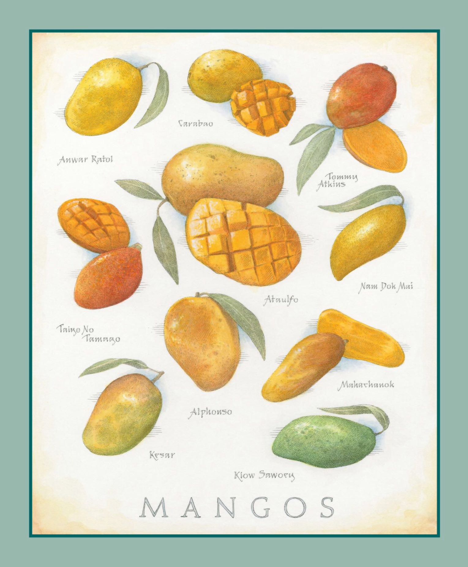 Cook’s Illustrated  2023 March-April  (March) magazine collectible - Main Image 2