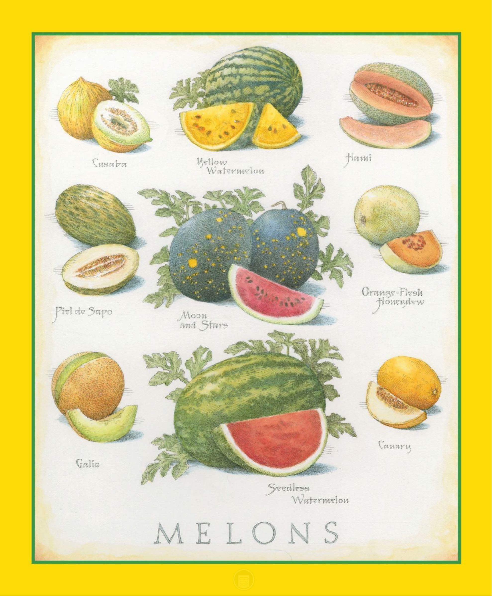 Cook’s Illustrated  2023 July-August  (July) magazine collectible - Main Image 2