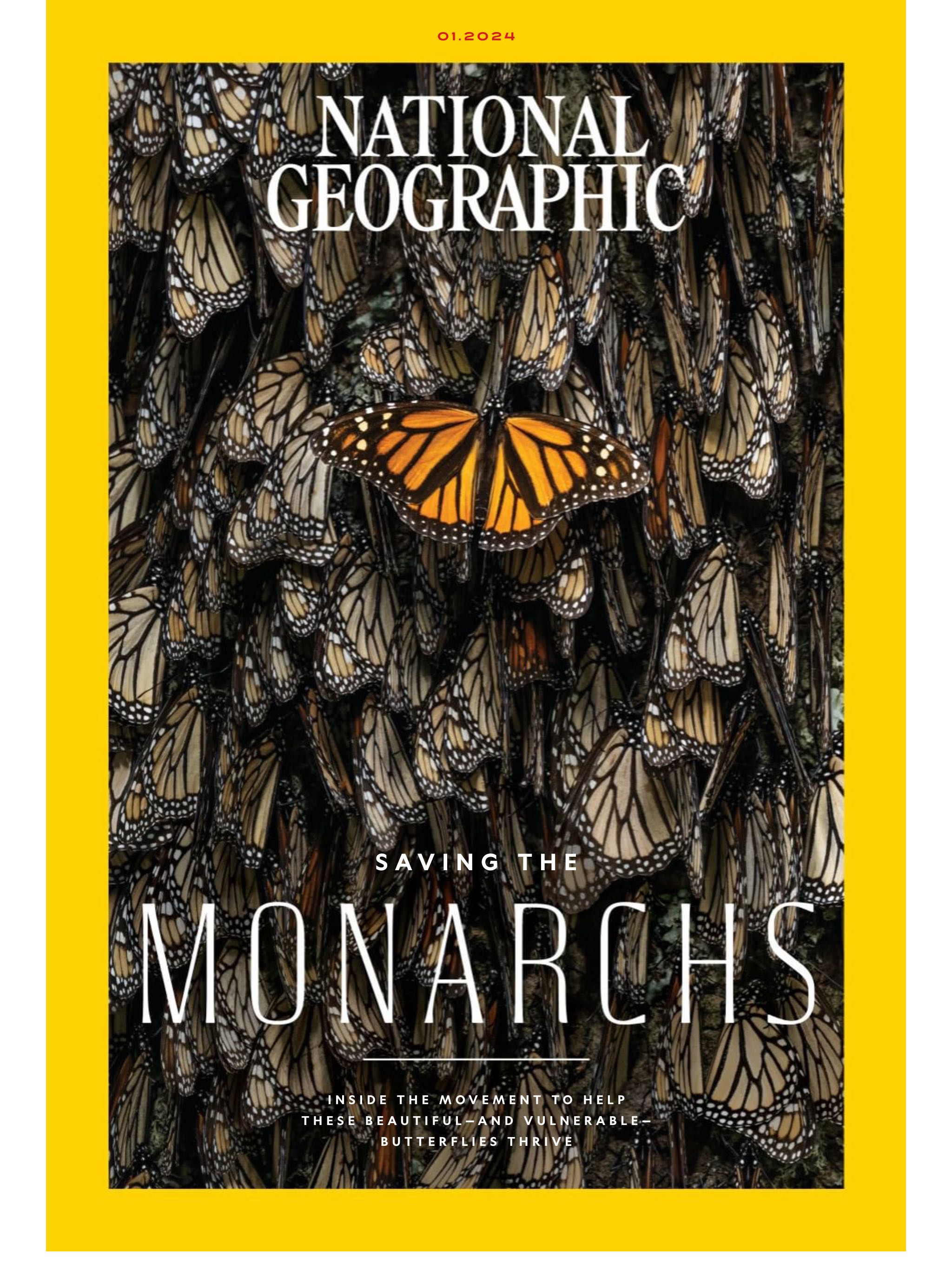 Star Wars Celebration II Souvenir Book