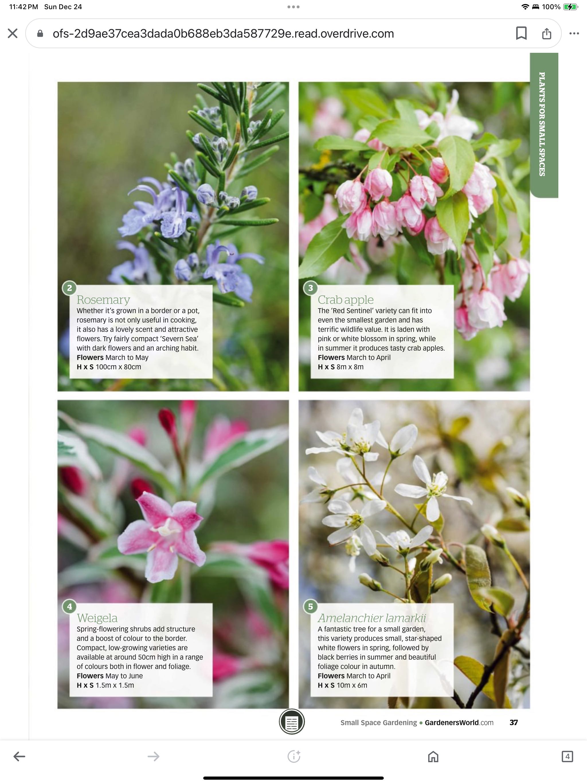 Small Space Gardening  2023 April  (April) magazine collectible - Main Image 2