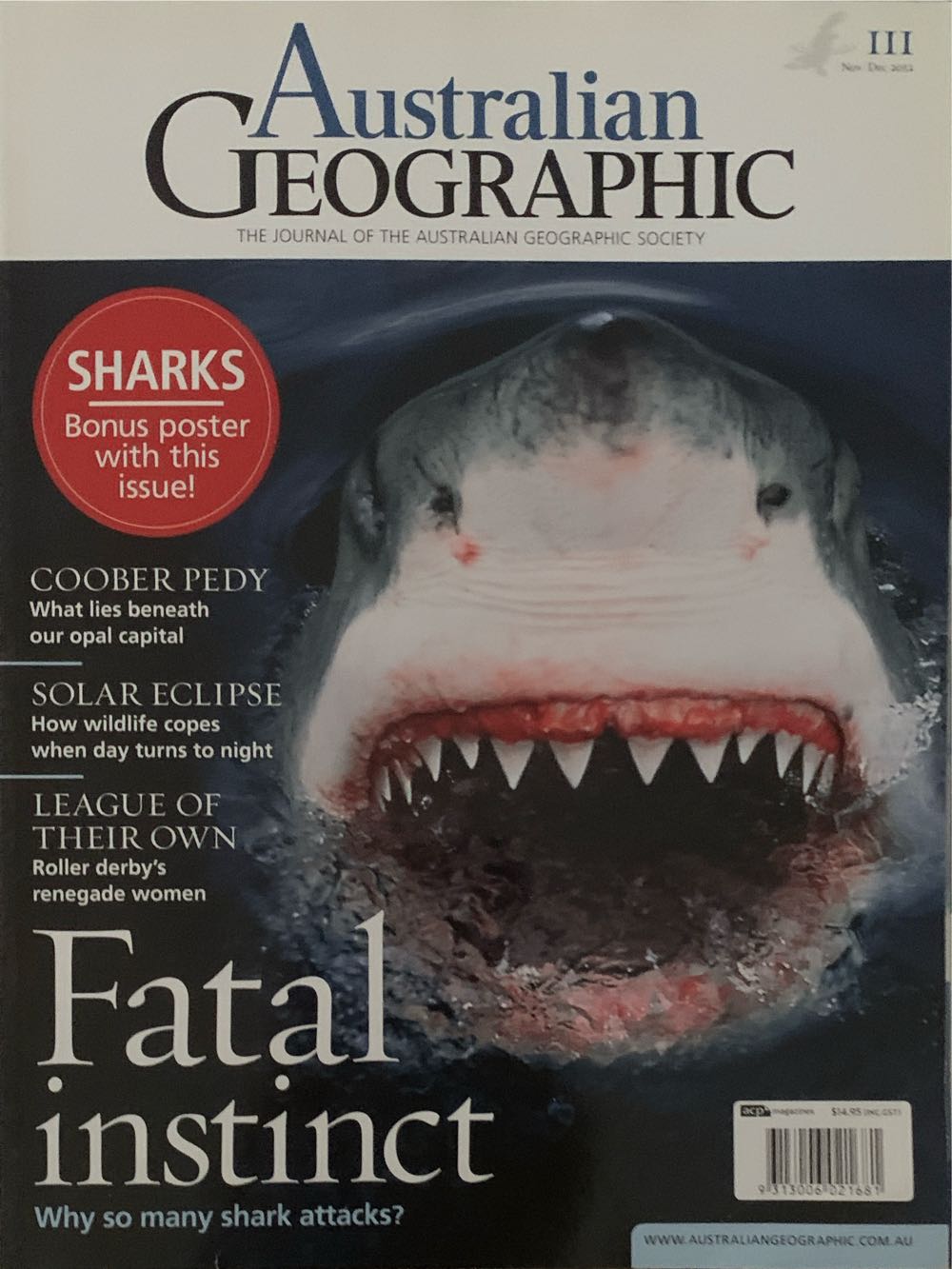 Haargummi Elastiekjes 48 Stuks Zwart