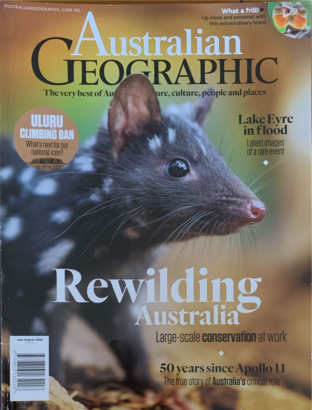 Tiny Homes - Live It Up - Big Ideas for Living Small  2023 July