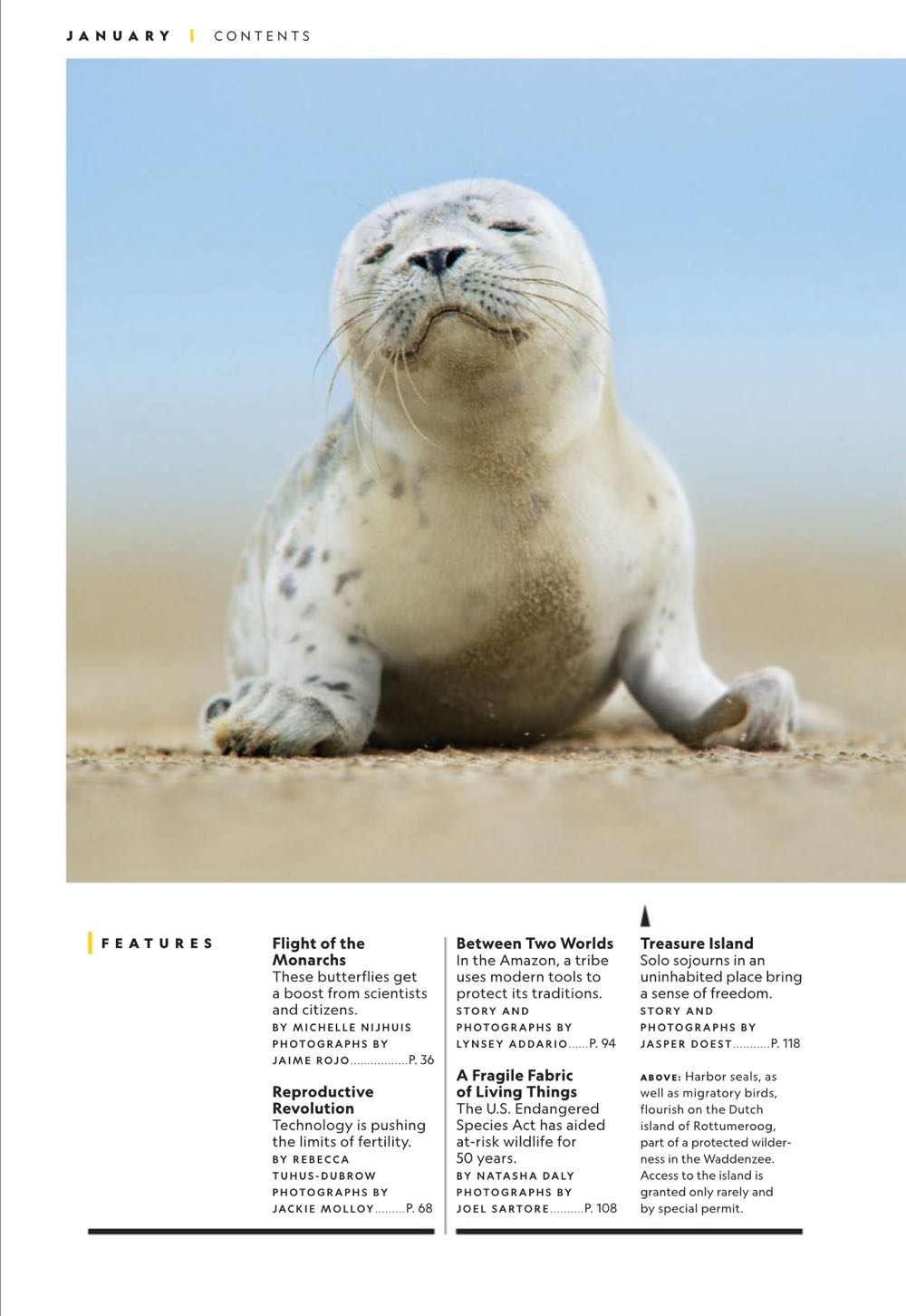 National Geographic  (January) magazine collectible - Main Image 3