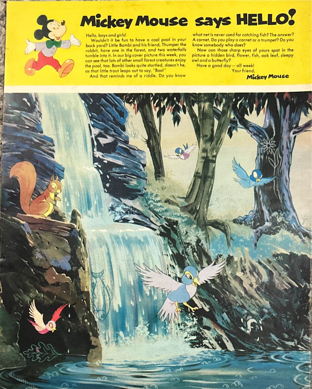 Disneyland  (July) magazine collectible - Main Image 2