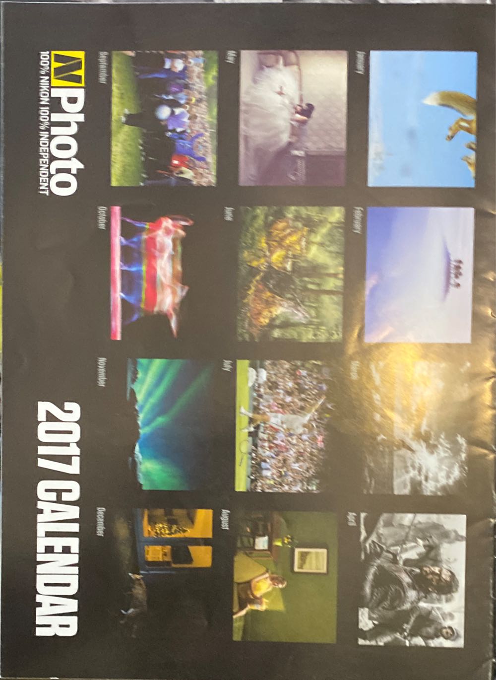 Sparkle Vol. 31 media Boy Mook