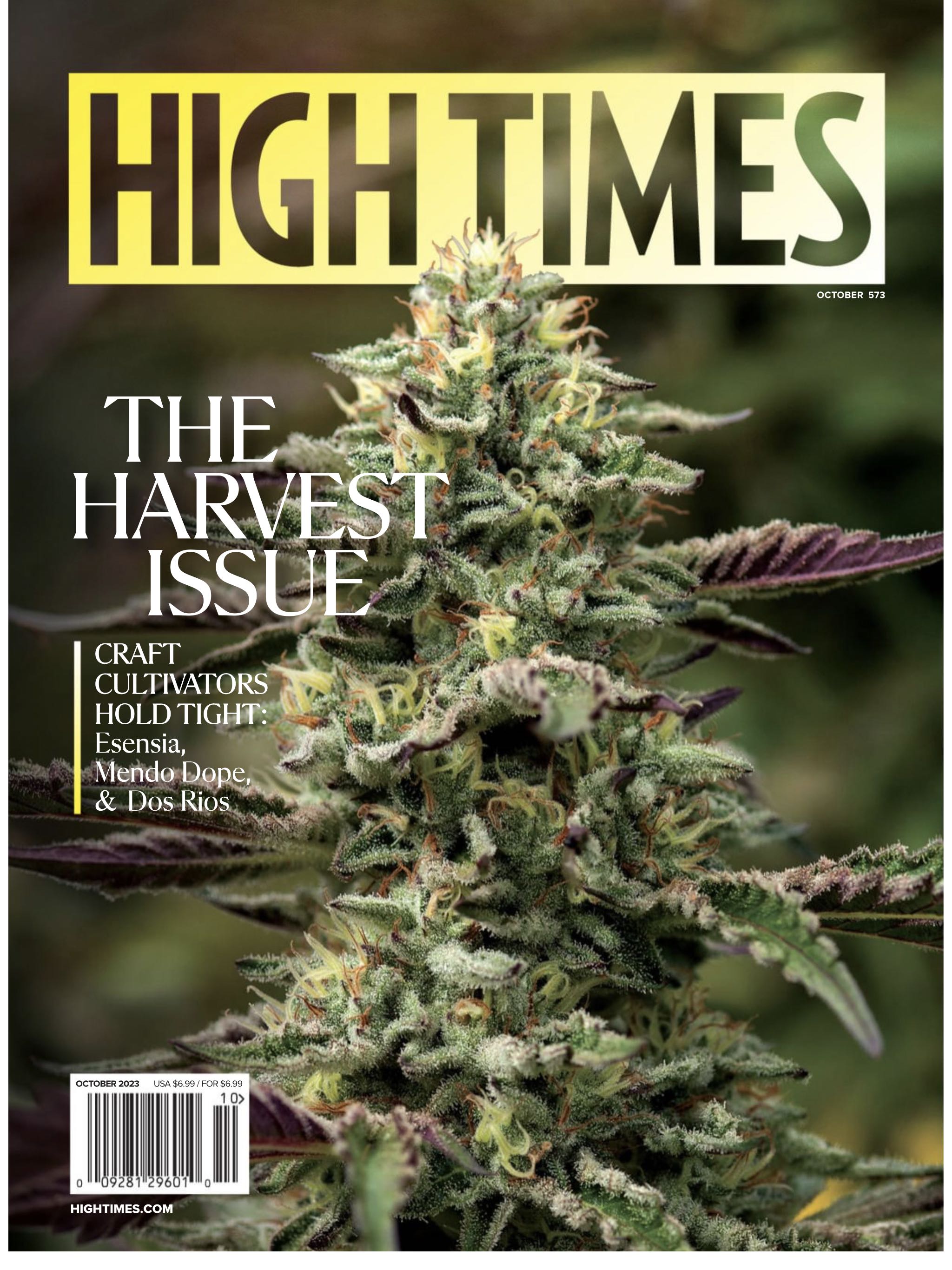 Market Magazine  2022 July-August