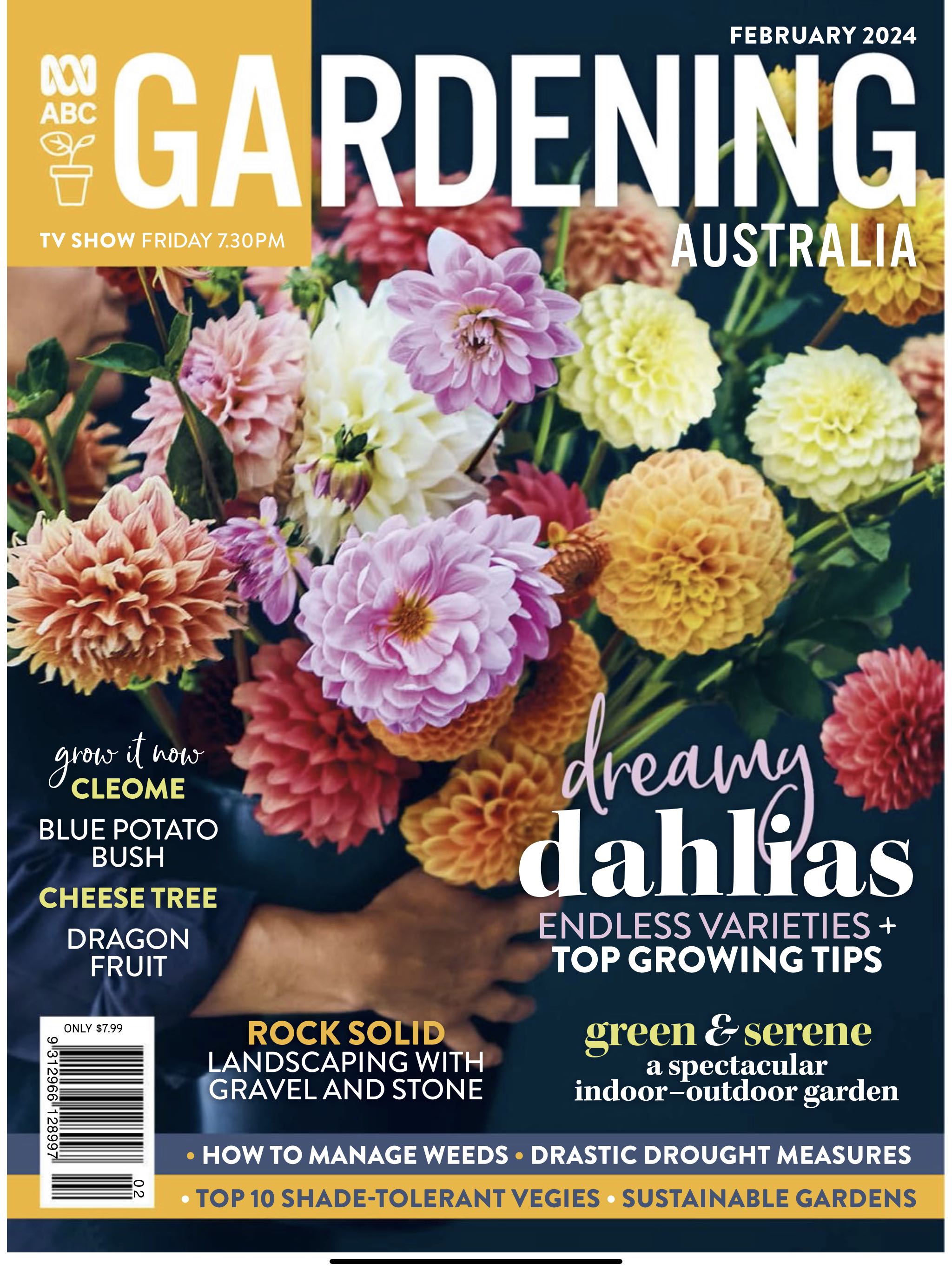 Taste of Sea Food Kenya - Taste of Sea Food  2023 June