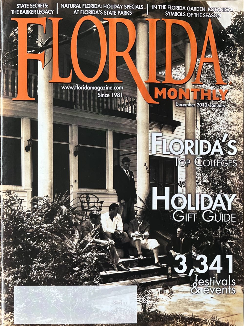 Briggs & Stratton 703447