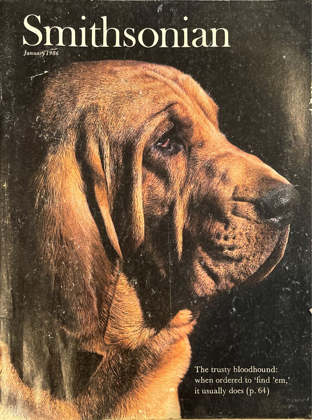 Electronic Gaming Monthly 180