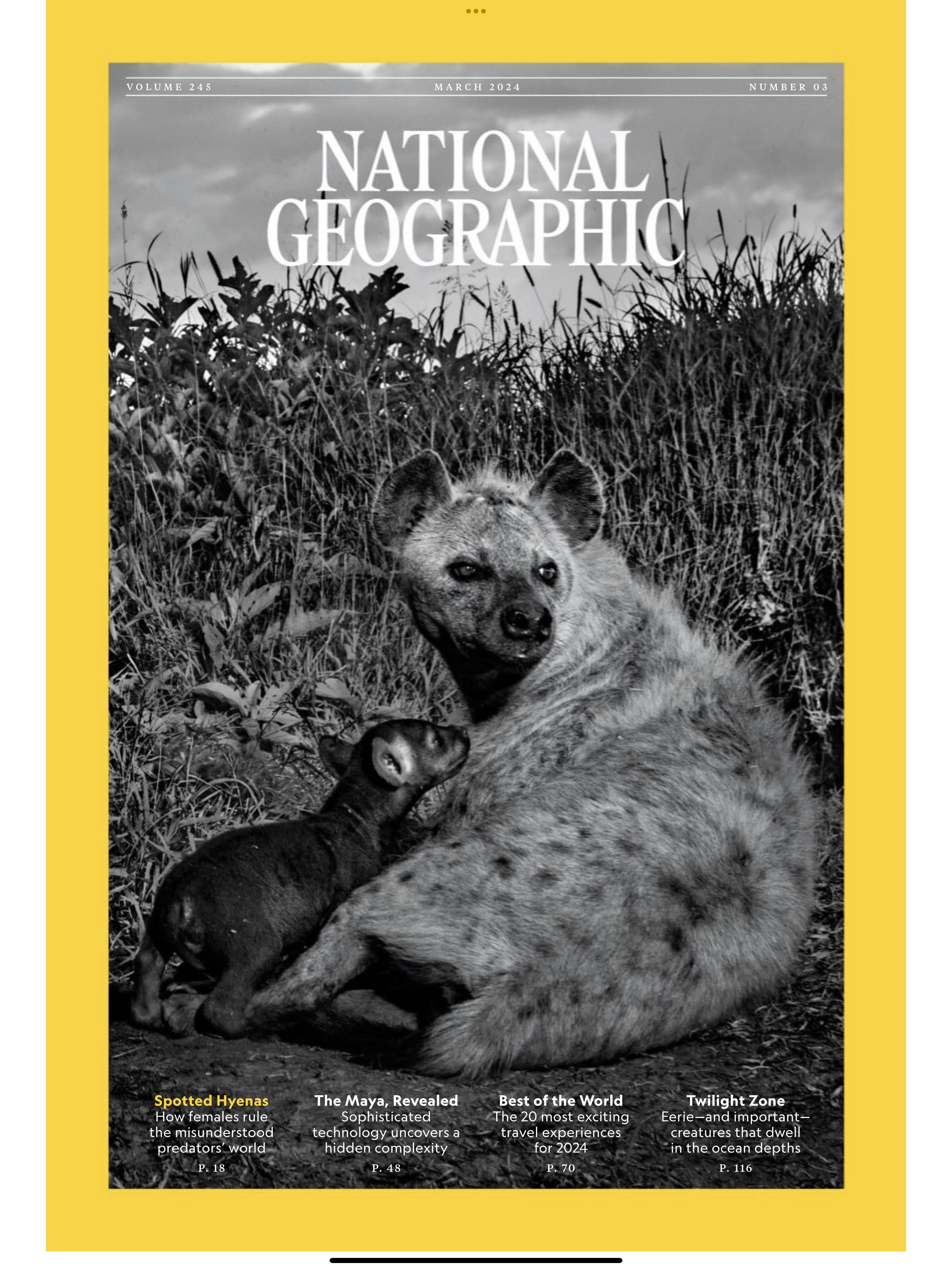 Celebrations Vol. 2 Nr. 23