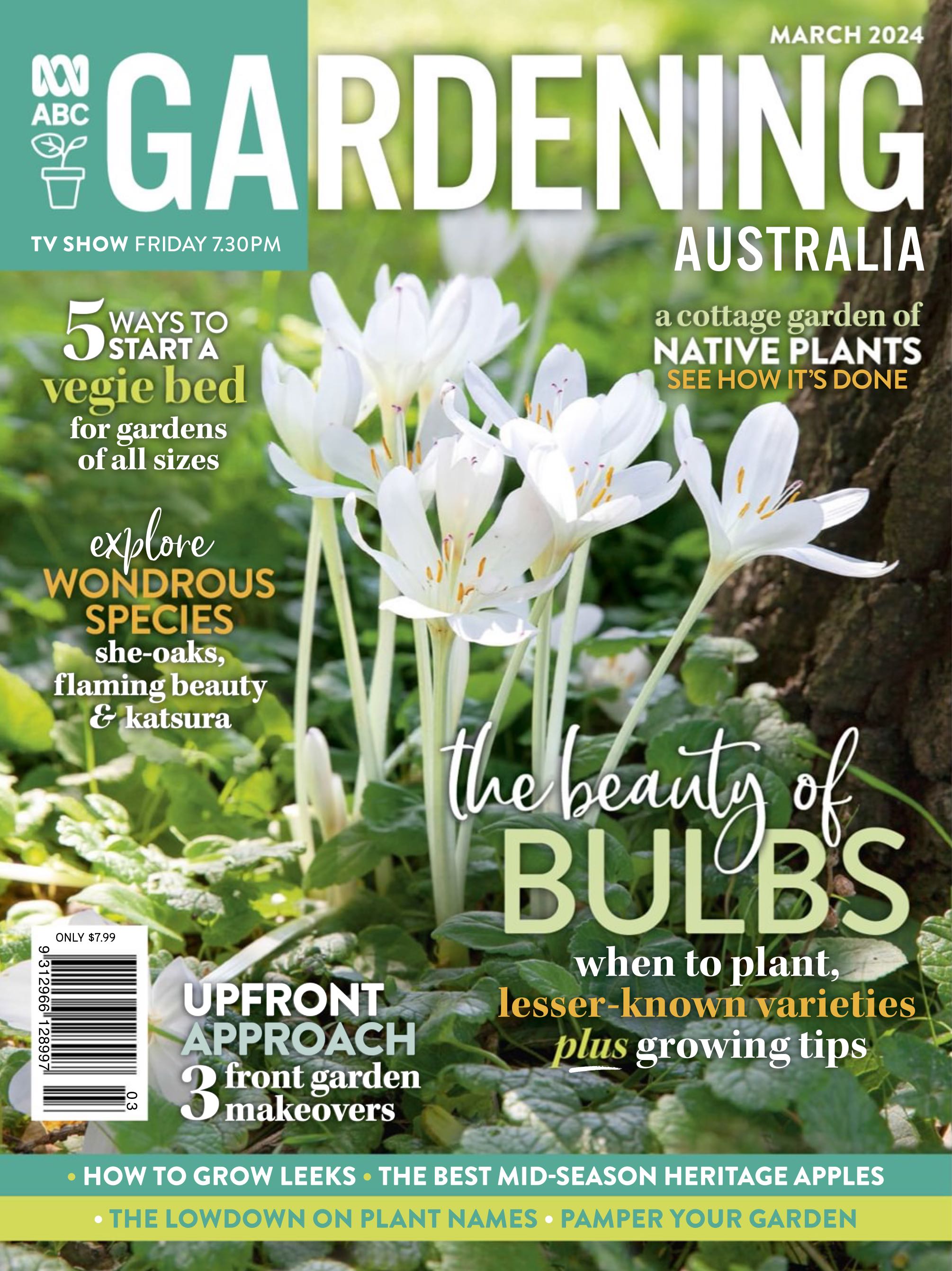 Buffy The Vampire Slayer Official Fan Club Magazine Vol 4 No 2