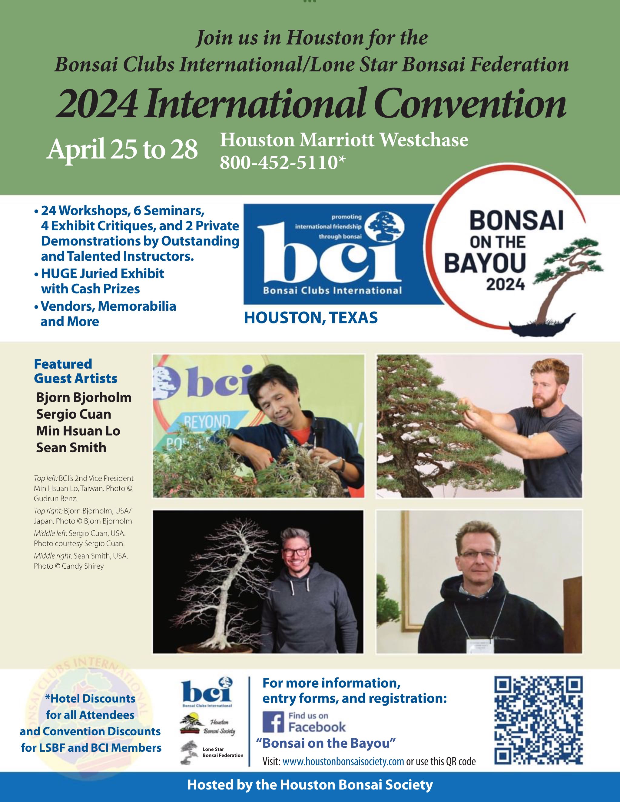 BCI Bonsai & Stone Appreciation Magazine  2024 February  (February) magazine collectible - Main Image 2