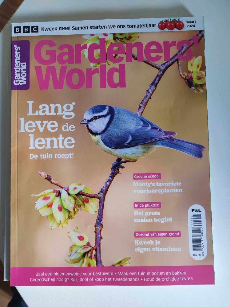 Itty-bitty Bible Activity Book