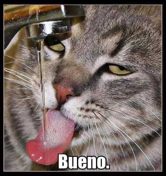 スクリーンアーカイブズ「ブルース・リー」復刻号 Izibuy 李小龍