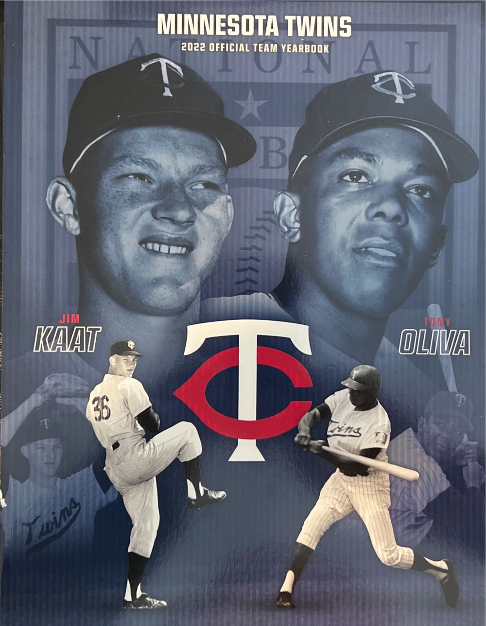 We Love Taylor Swift At Home Crafting Guide 16 Diy Projects 16 At~home Centennial Ultimate New Projectsplus Playlist Brand Gardening Your Own