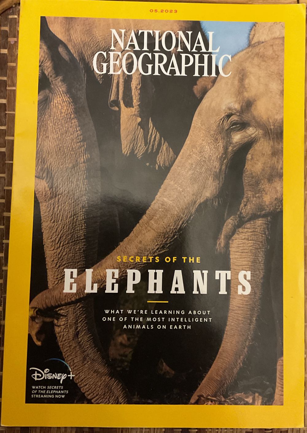 Justin Bieber Is… Young And Free