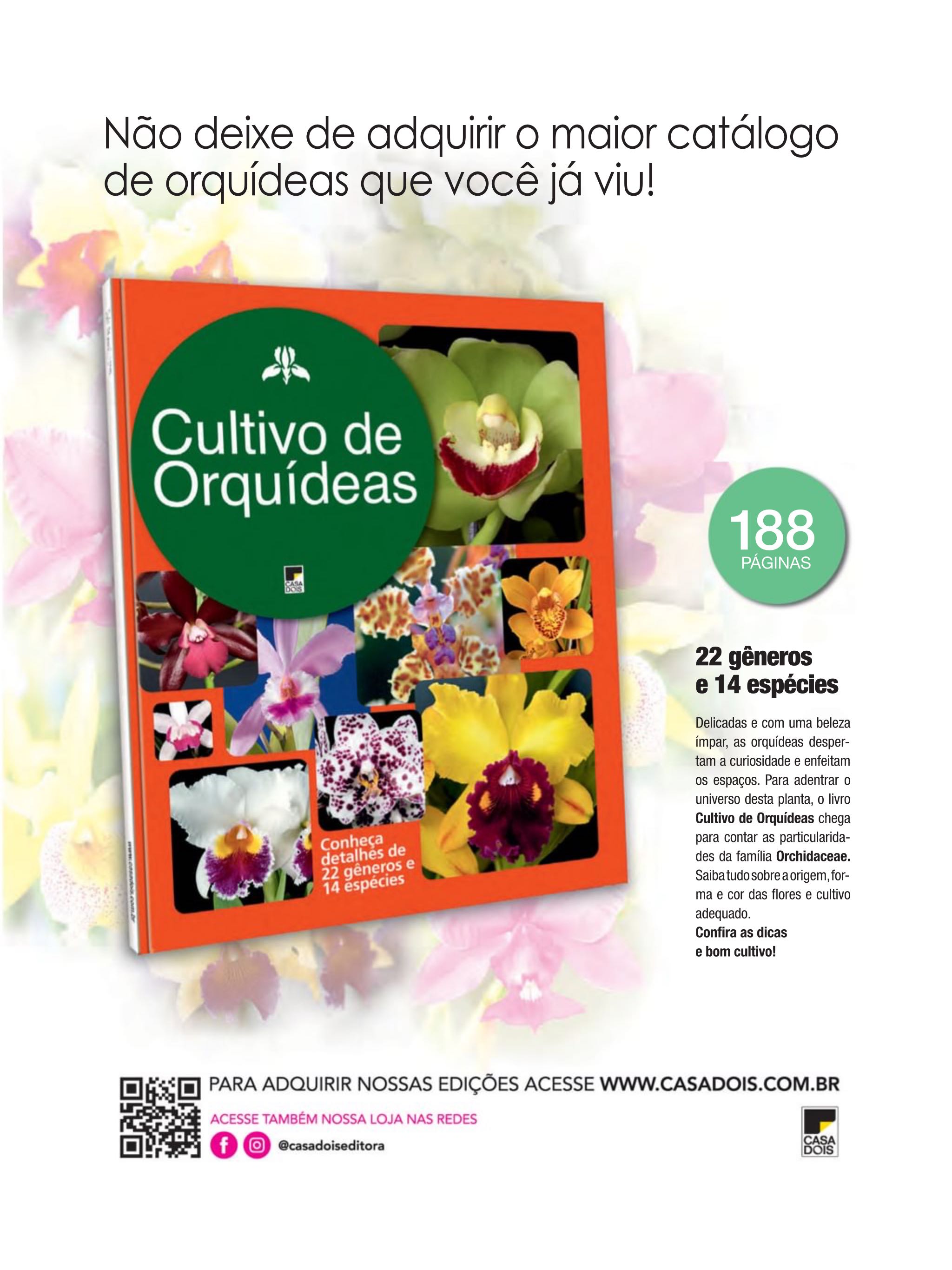 Cake Design  (February) magazine collectible - Main Image 2