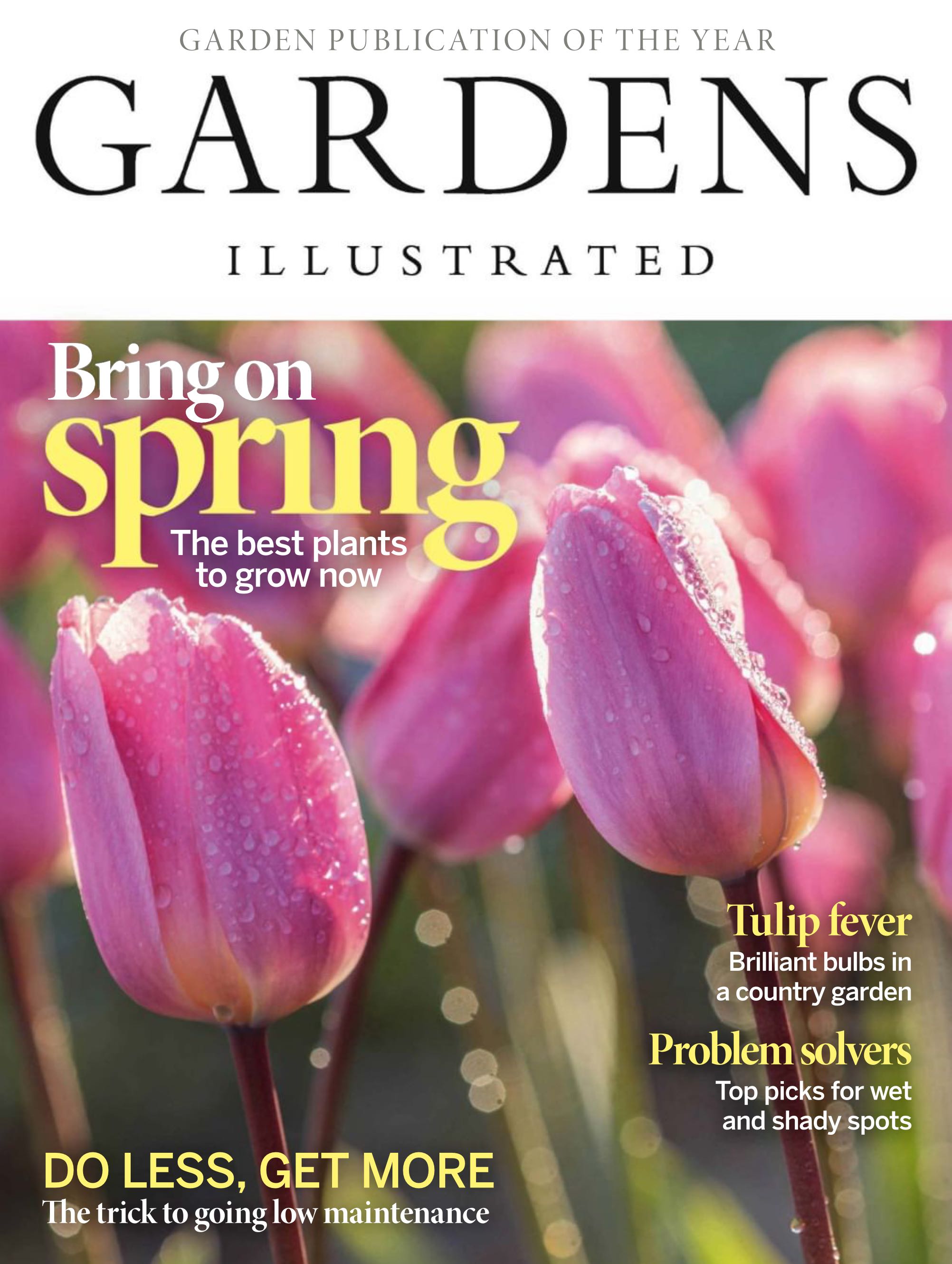 World Of Wrestling WOW Magazine