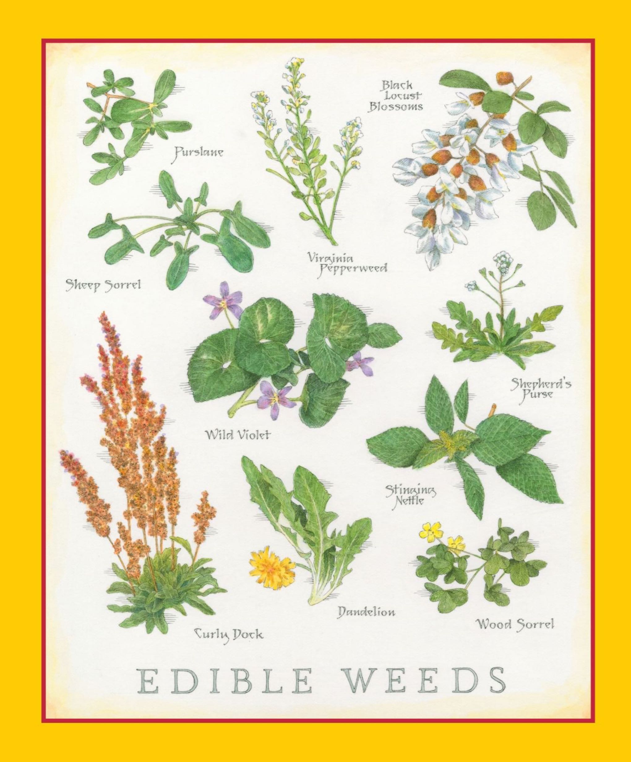 Cook’s Illustrated  2024 May - June  (May) magazine collectible - Main Image 2