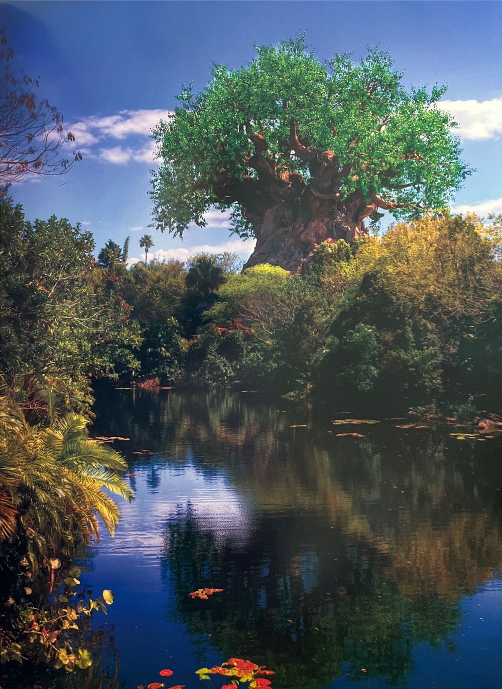 Celebrations Vol. 2 Nr. 15  magazine collectible - Main Image 4