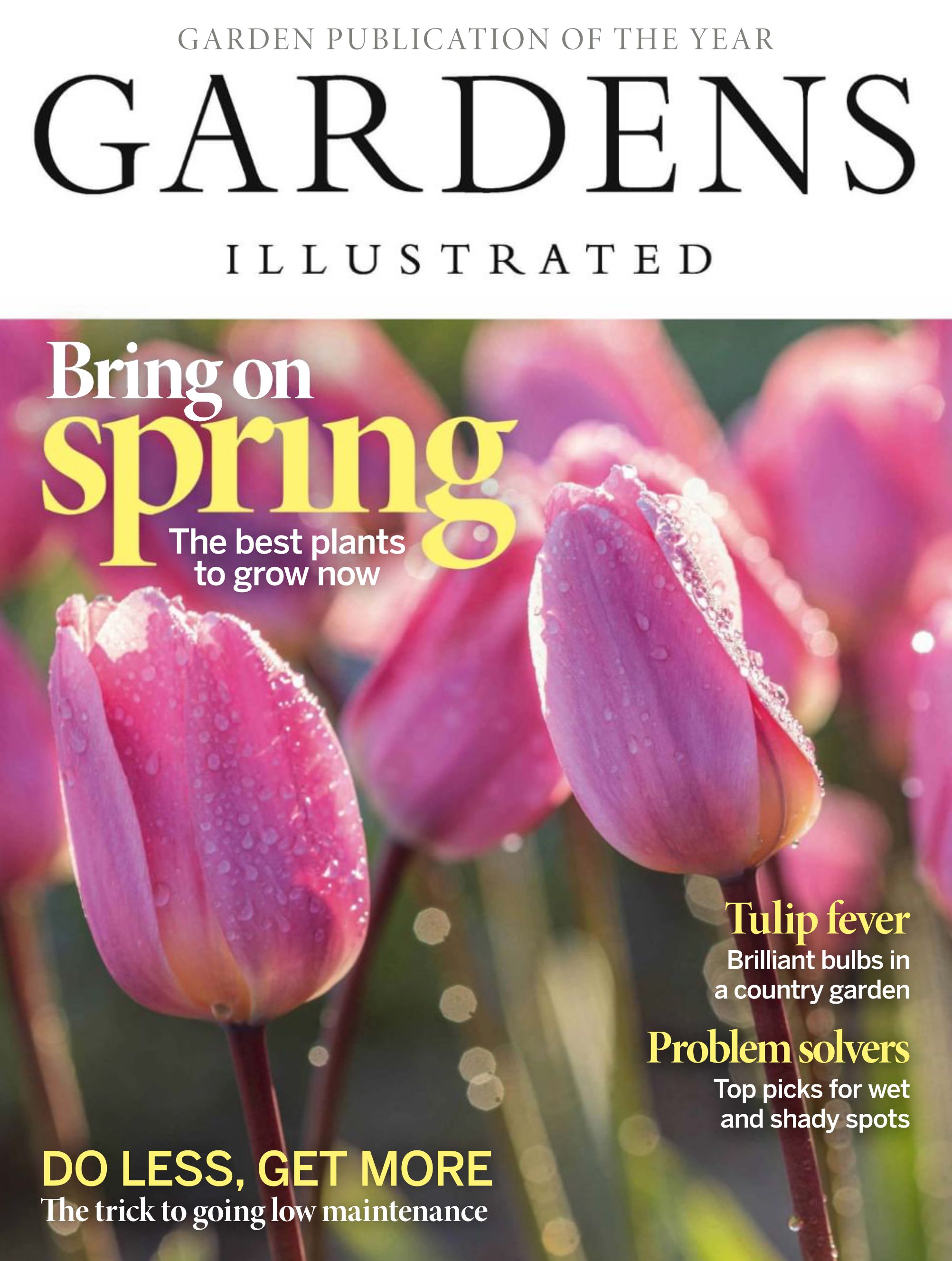 Electronic Gaming Monthly 167