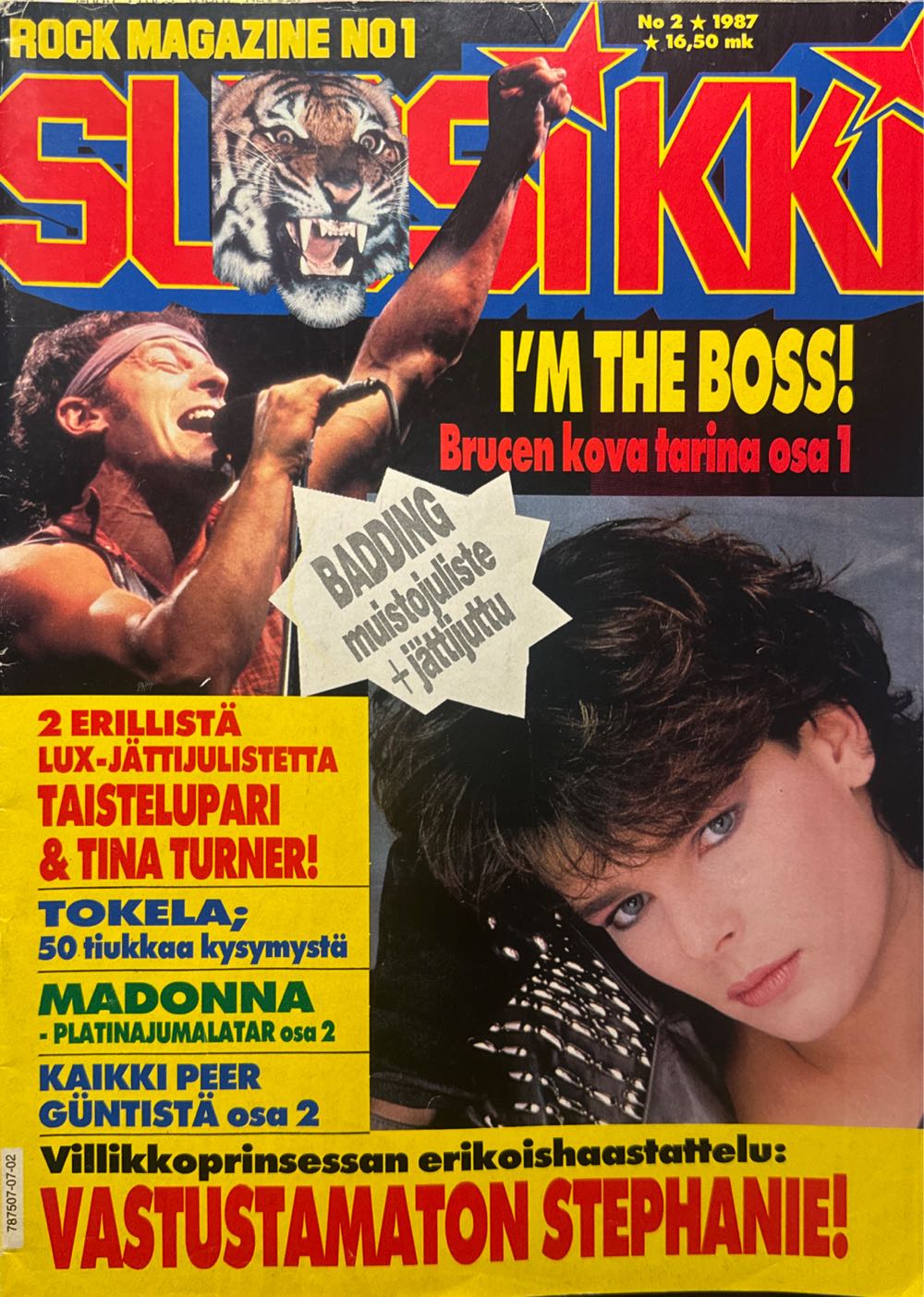 ”key To Preservation” Liz Turner Diehl Counted Cross Stitch Pattern