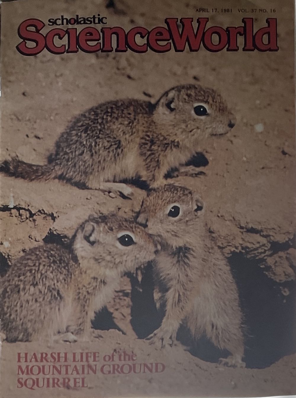 Life Story Movie Magic: Super Man Returns