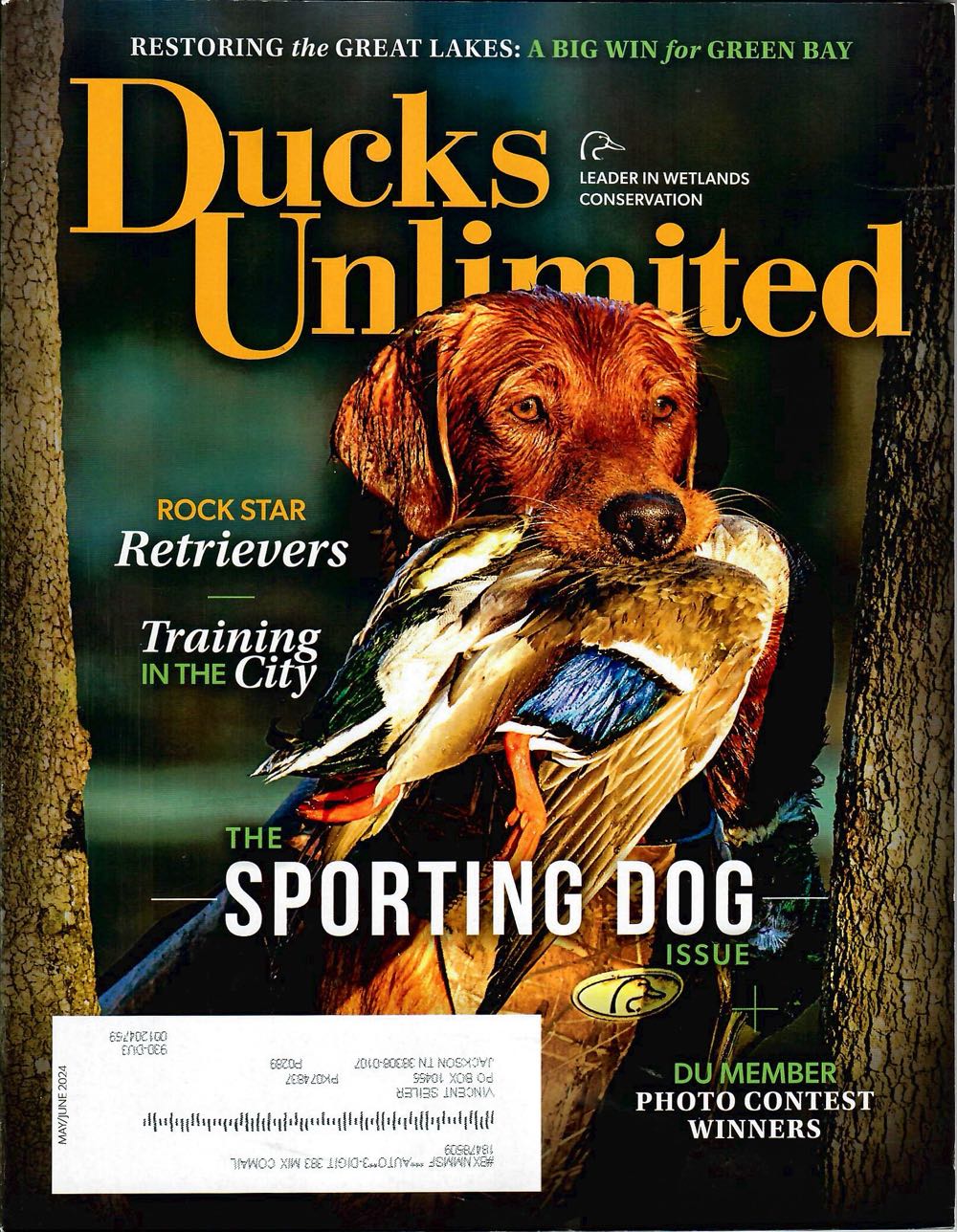 Club Play Año 5 # 57