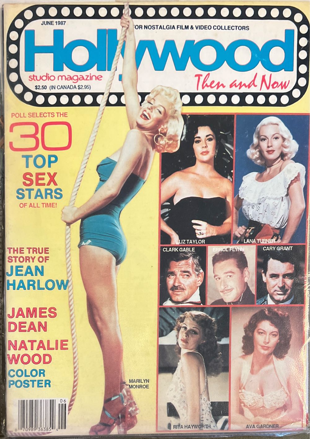 Your Perfect Garden 2023 August