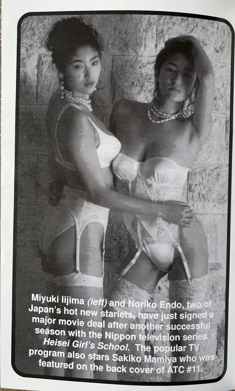 Asian Cult Cinema 14  magazine collectible - Main Image 3