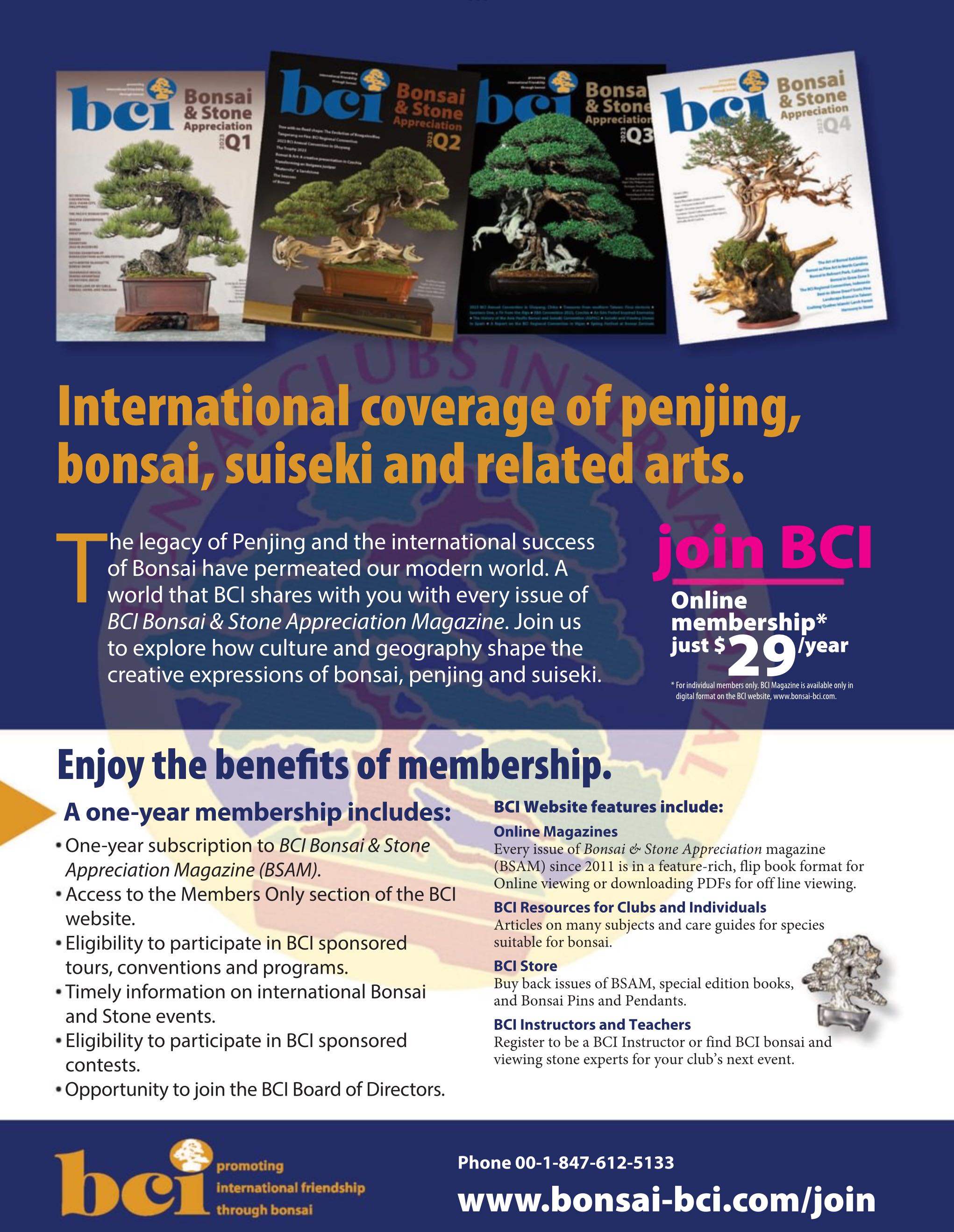 BCI Bonsai & Stone Appreciation Magazine Q2 2024 May  (May) magazine collectible - Main Image 2