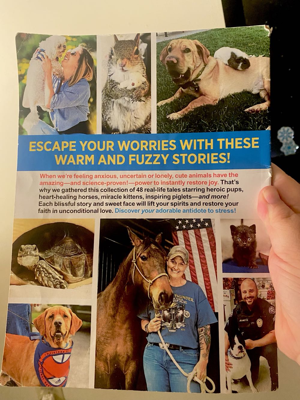 Animal Heroes  (January) magazine collectible [Barcode 07391771416254] - Main Image 2