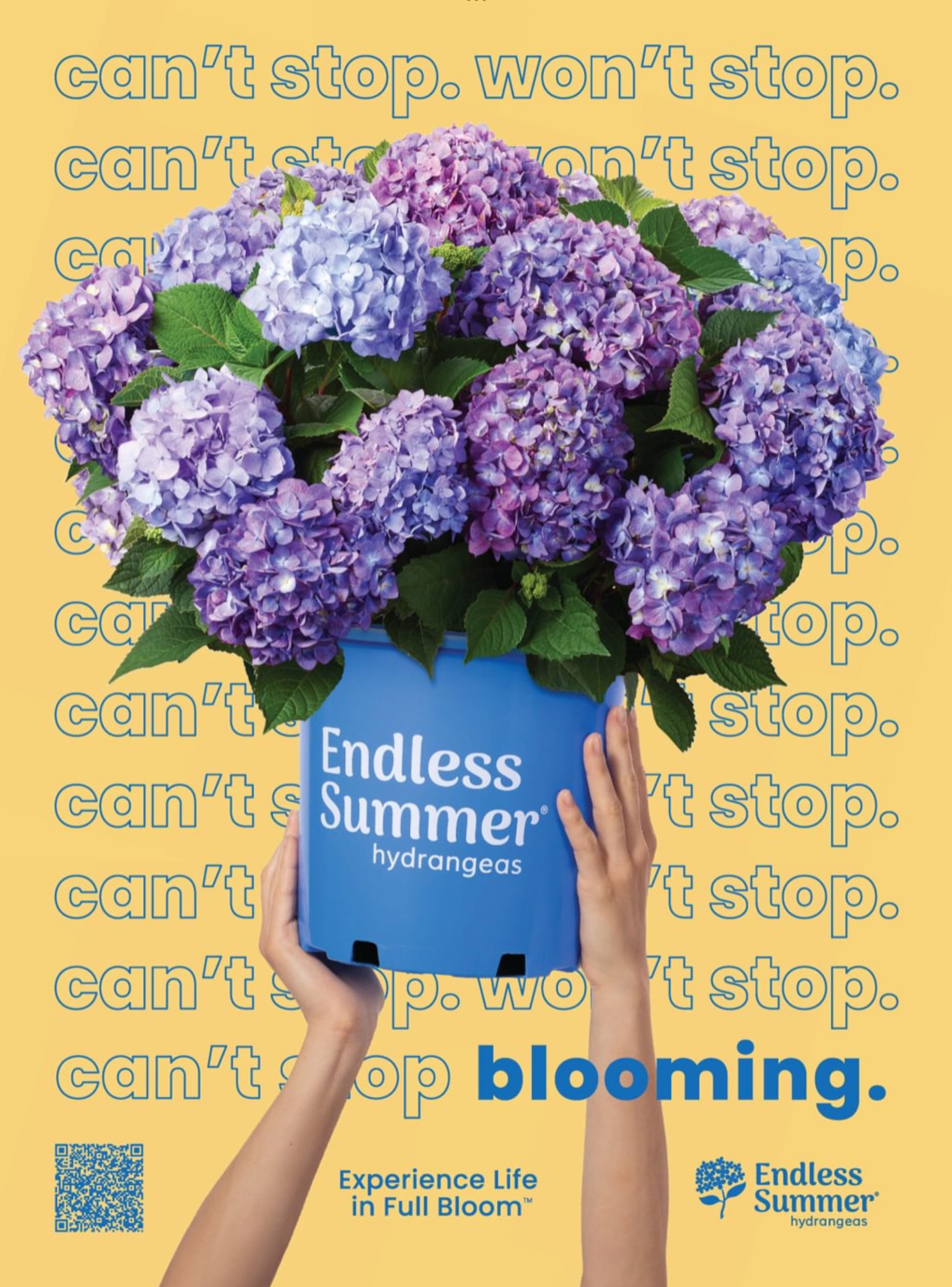 BH&G Small-Space Gardens  2024 March  (March) magazine collectible - Main Image 2