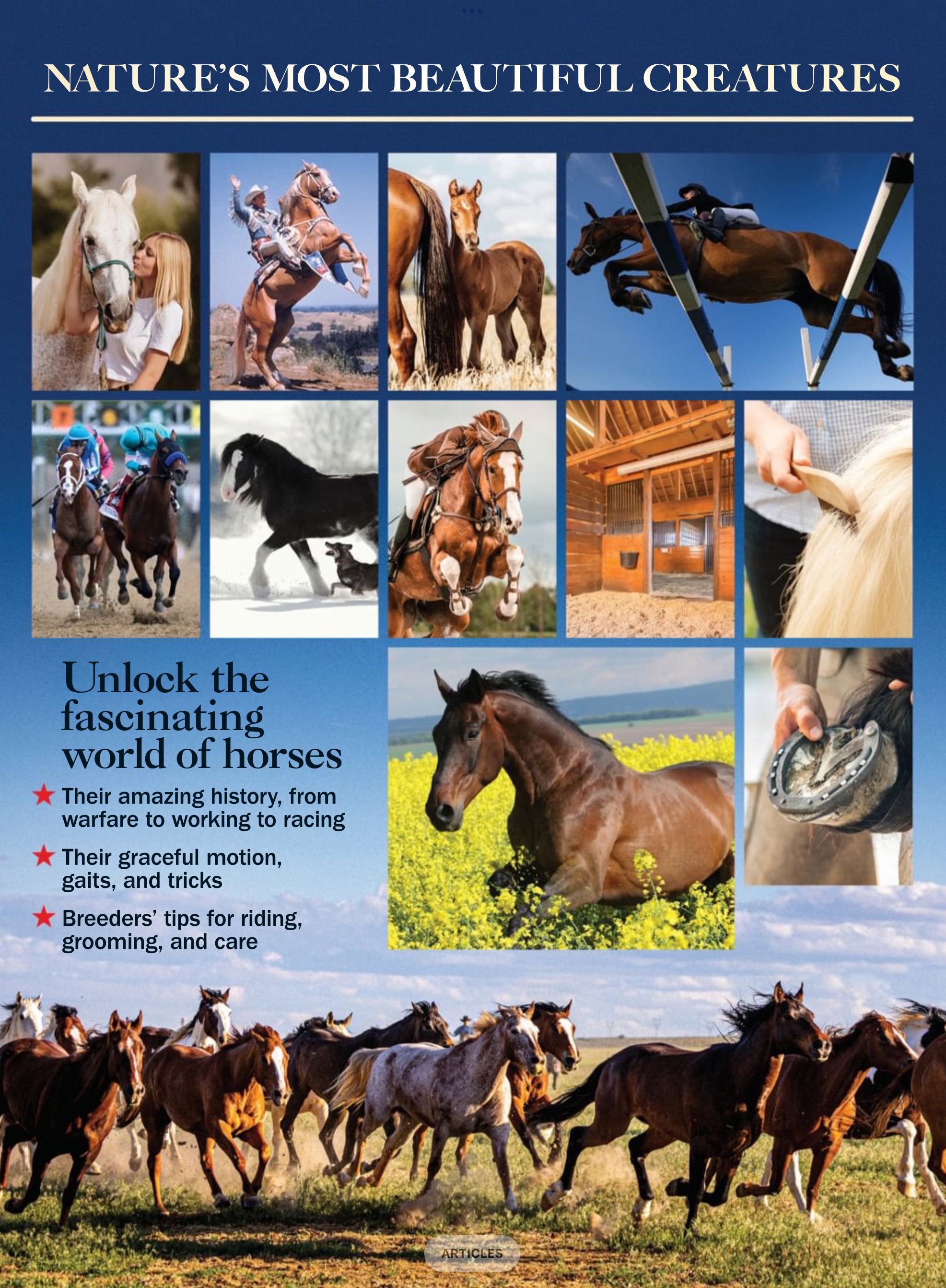 Your Complete Guide to Horses  2023 October  (October) magazine collectible - Main Image 2
