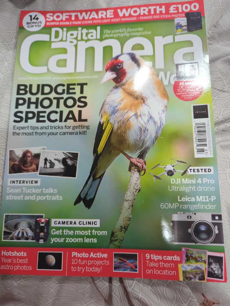 Flower  2024 July-August